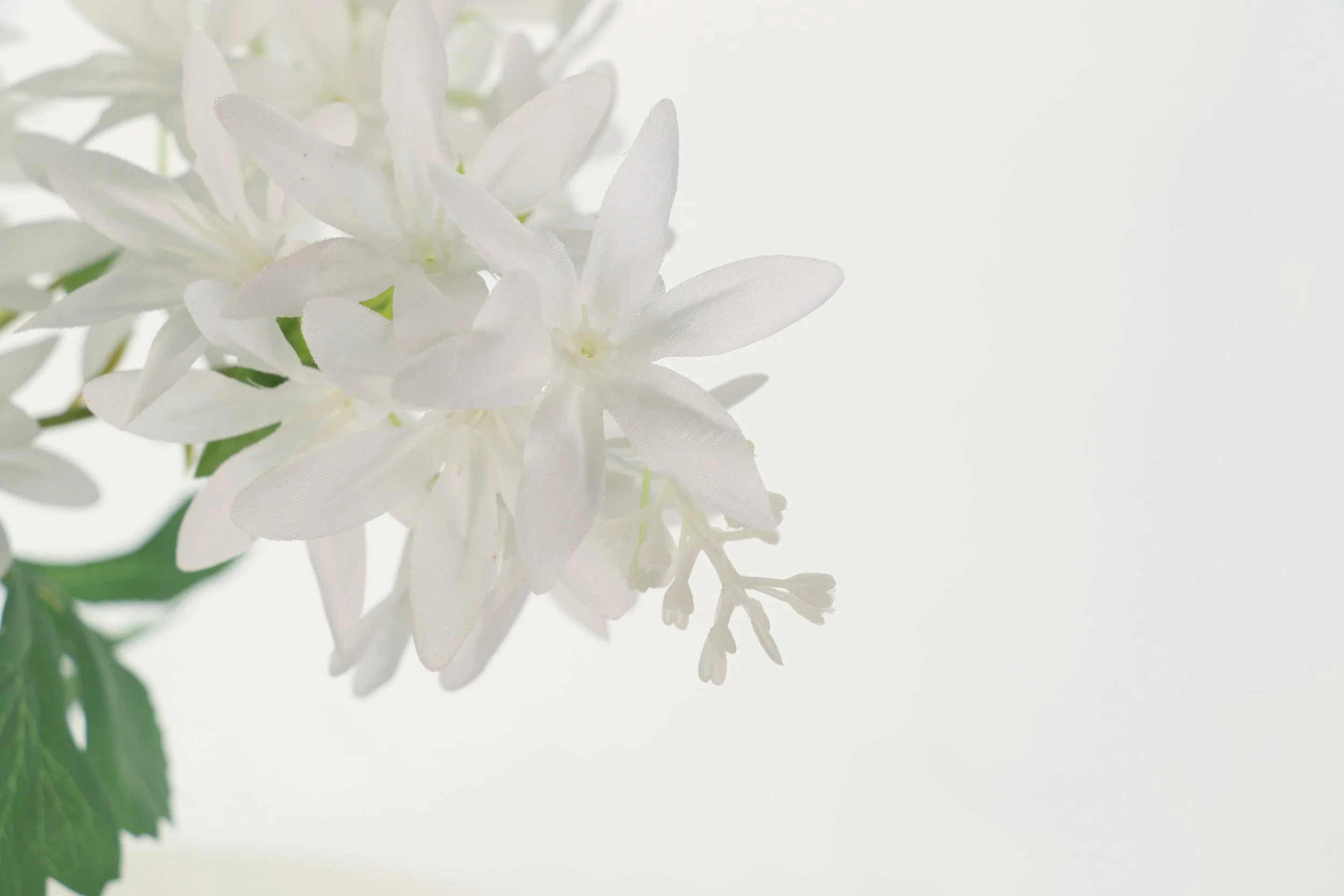 Jasmine Spray