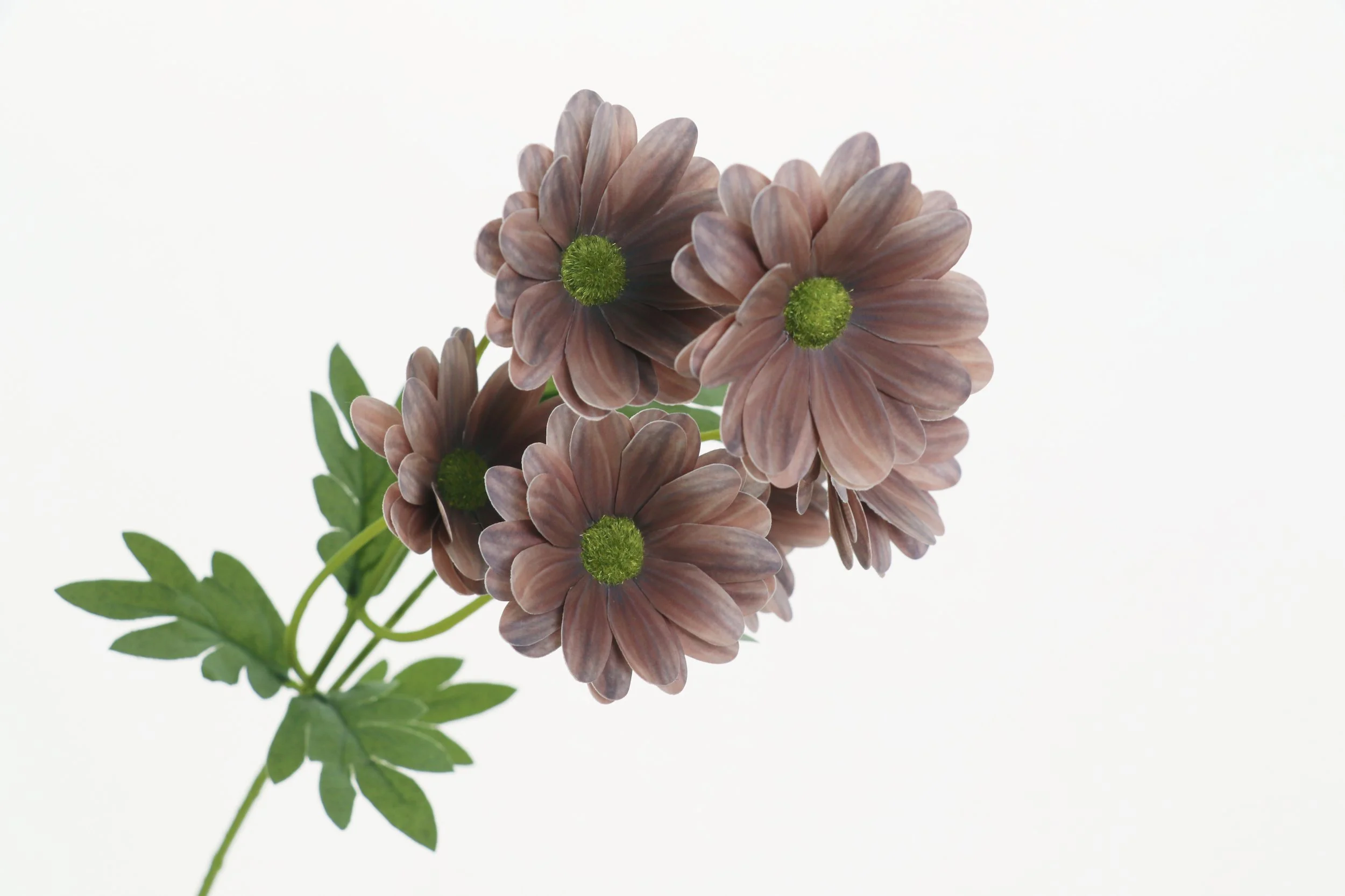 Artificial  Mocha Brown Daisy Spray