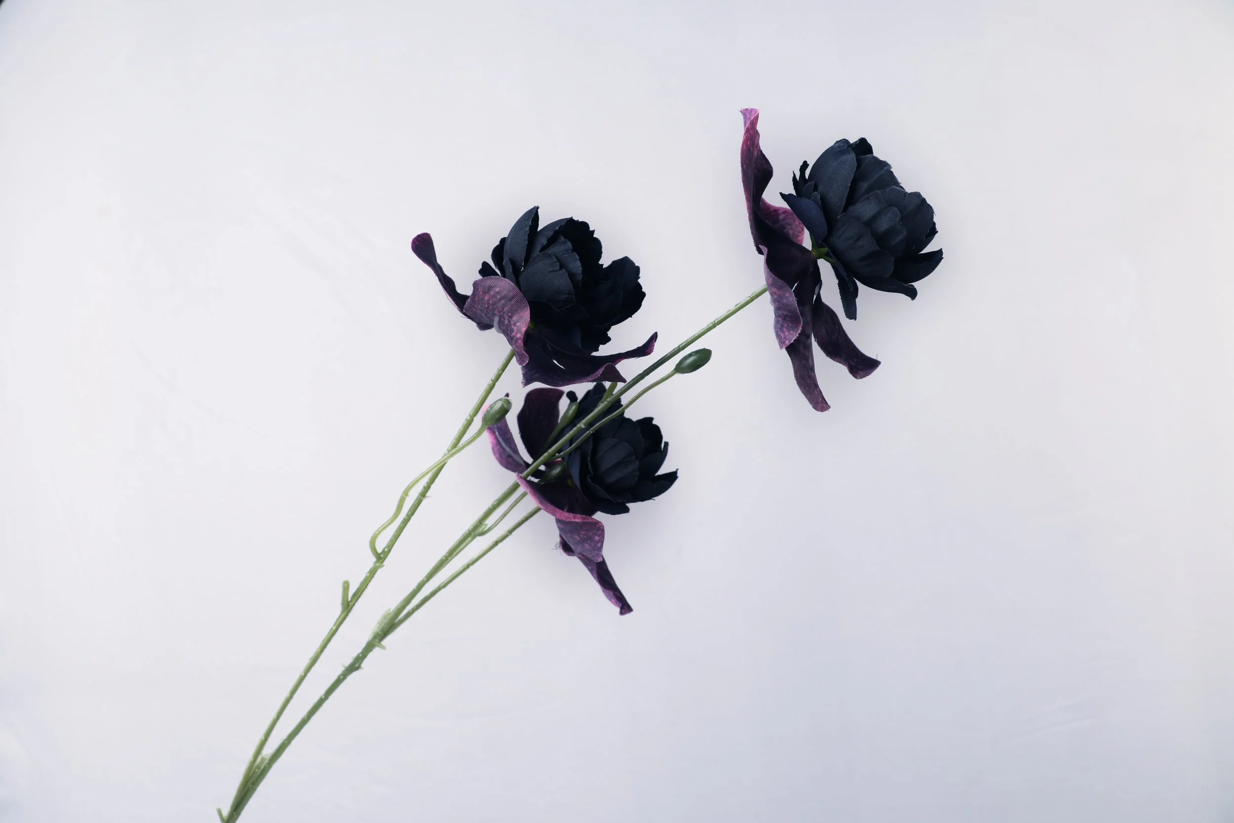 158A6335.JPG
