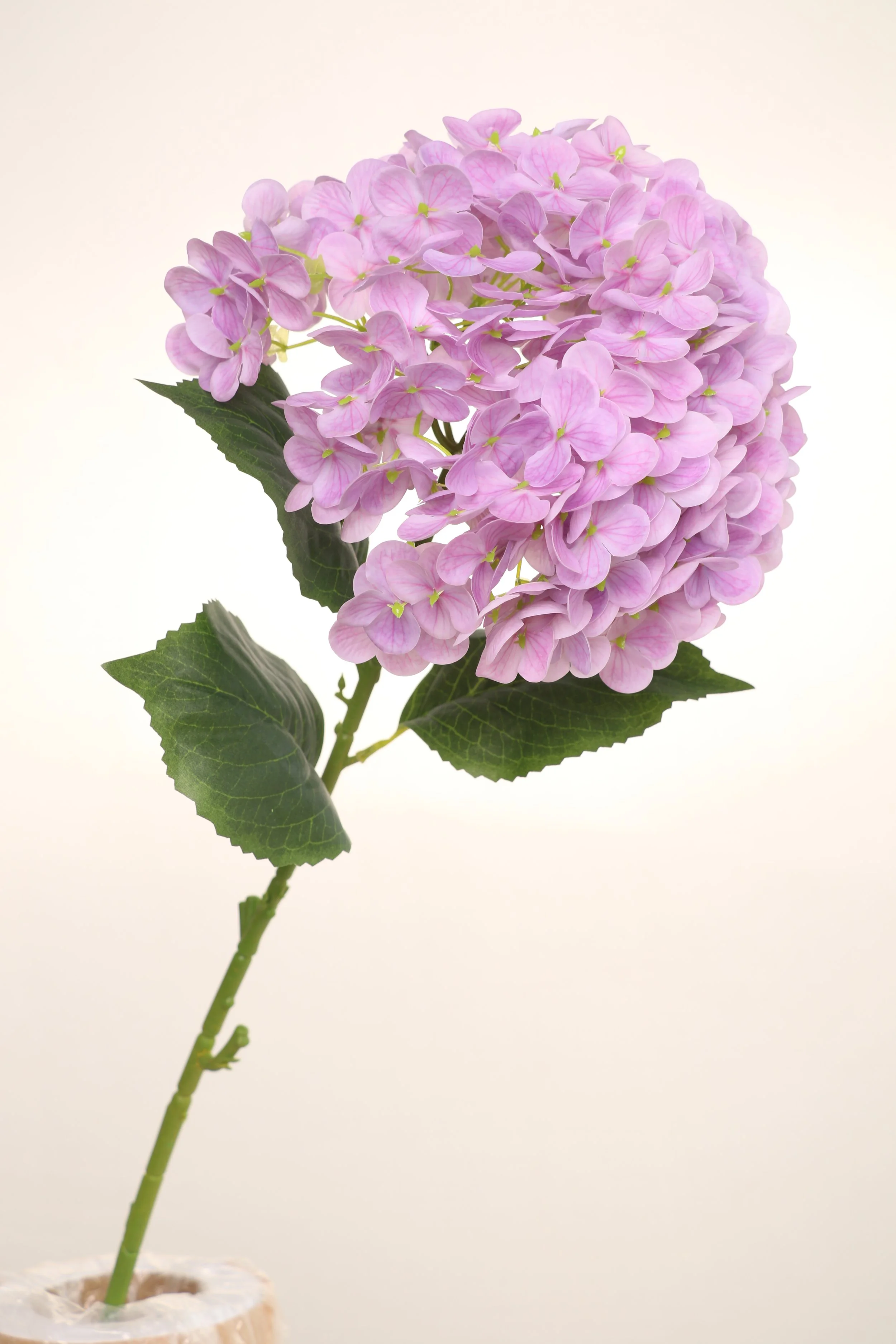 158A6201.JPG