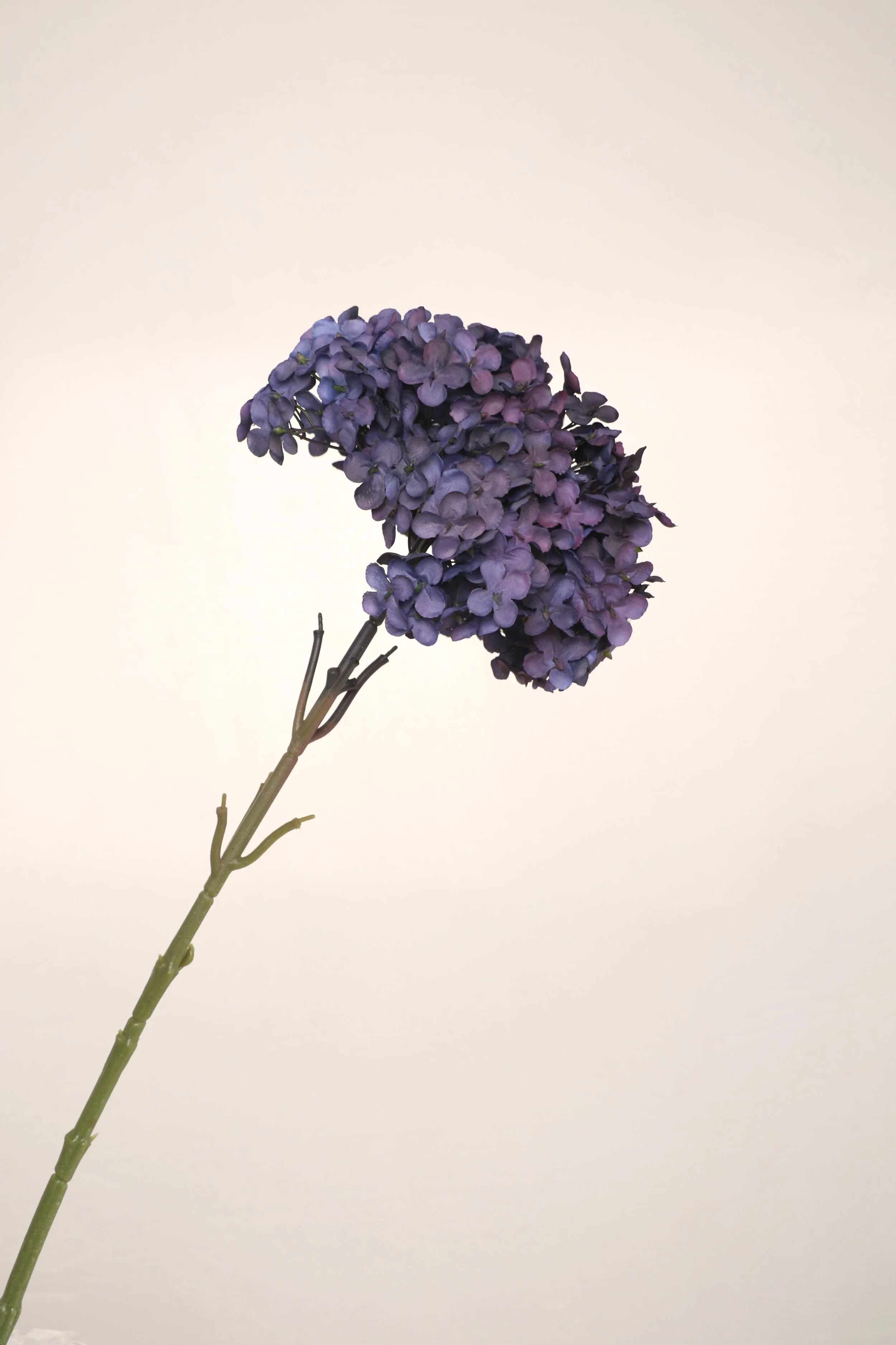 158A6192.JPG