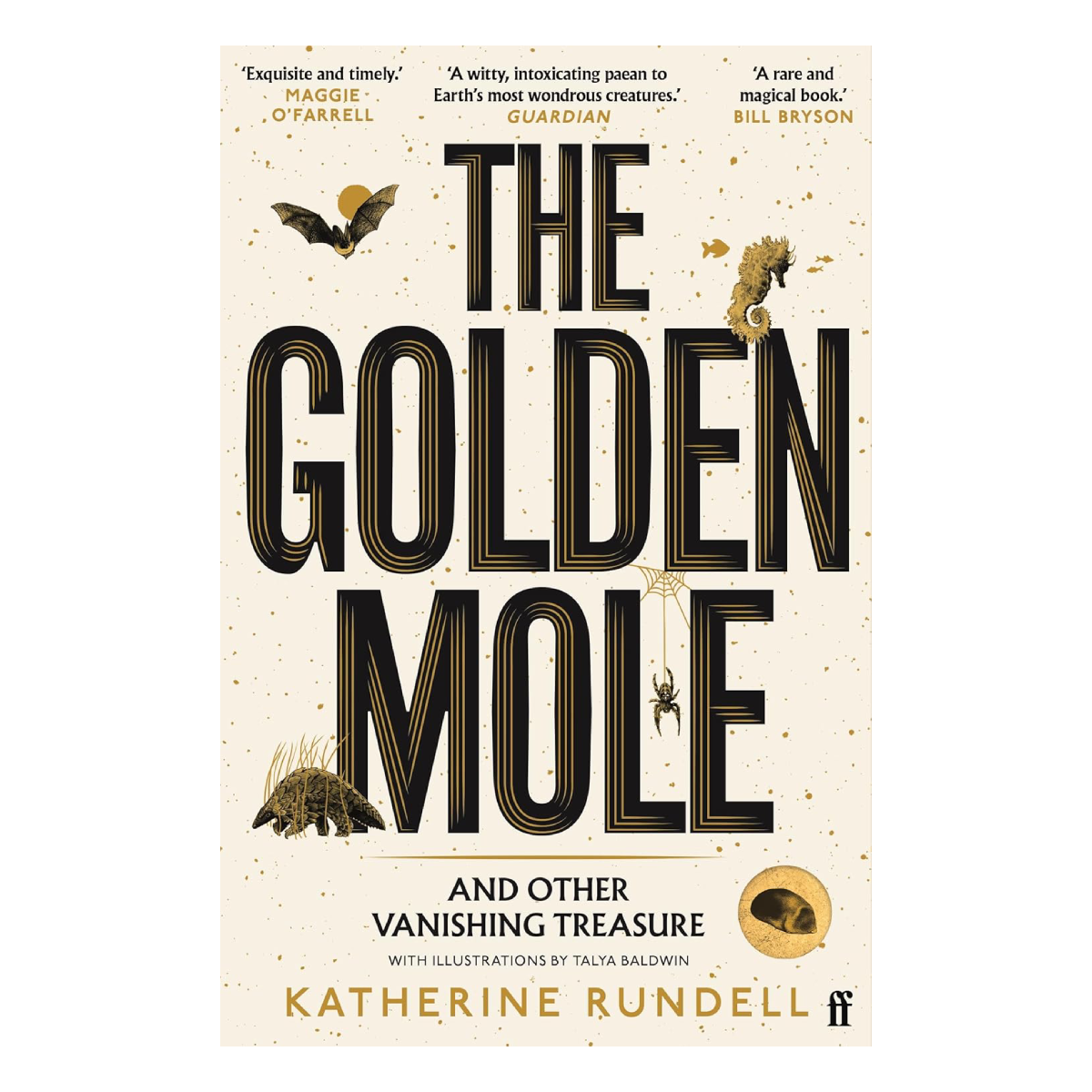 The Golden Mole by Katherine Rundell