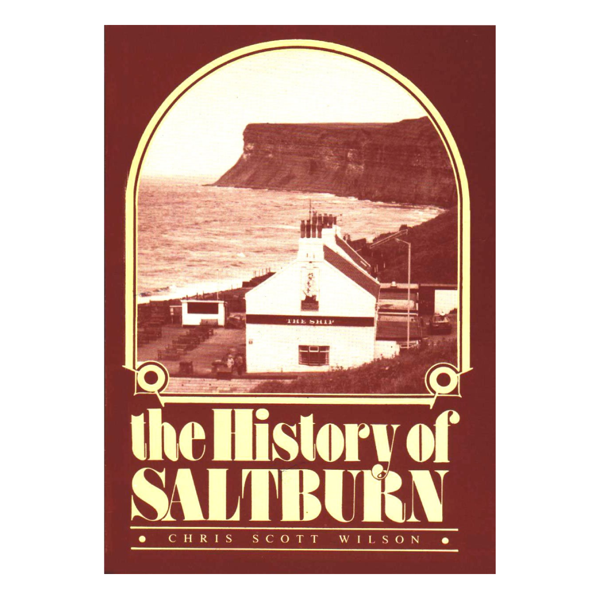 The History of Saltburn by Chris Scott Wilson