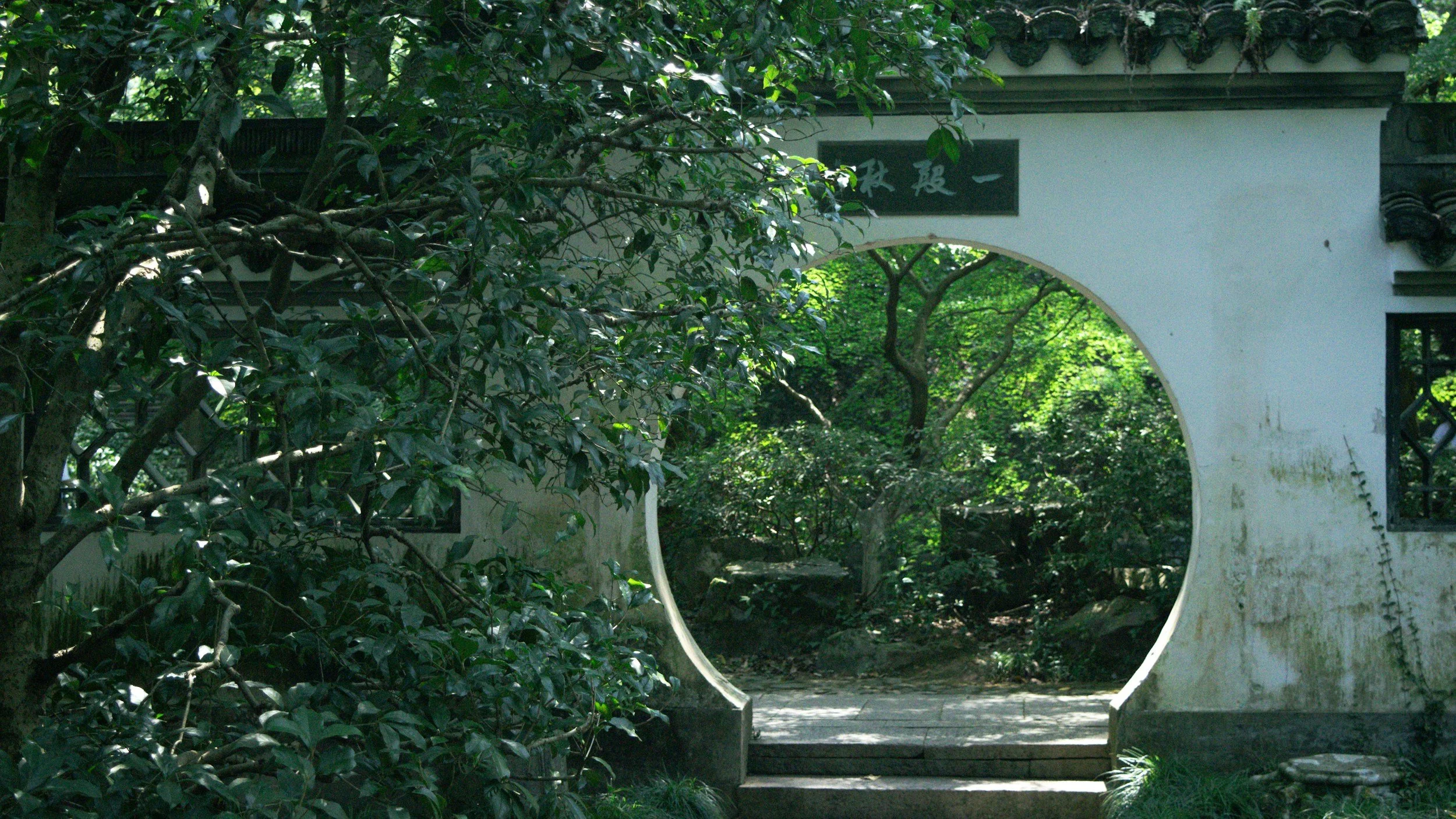 A traditional Chinese garden with a white wall, a circular moon gate, lush green trees, and plants.