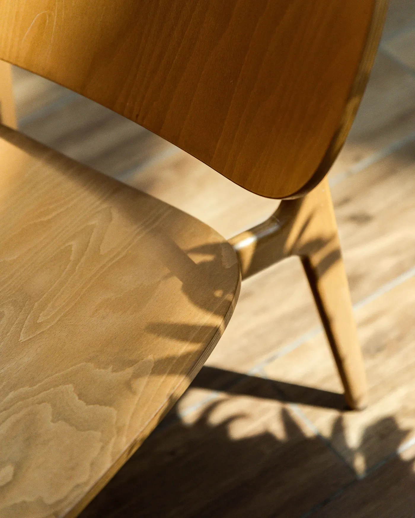 S.project-Merlata-Bloom-Milano (7).webp