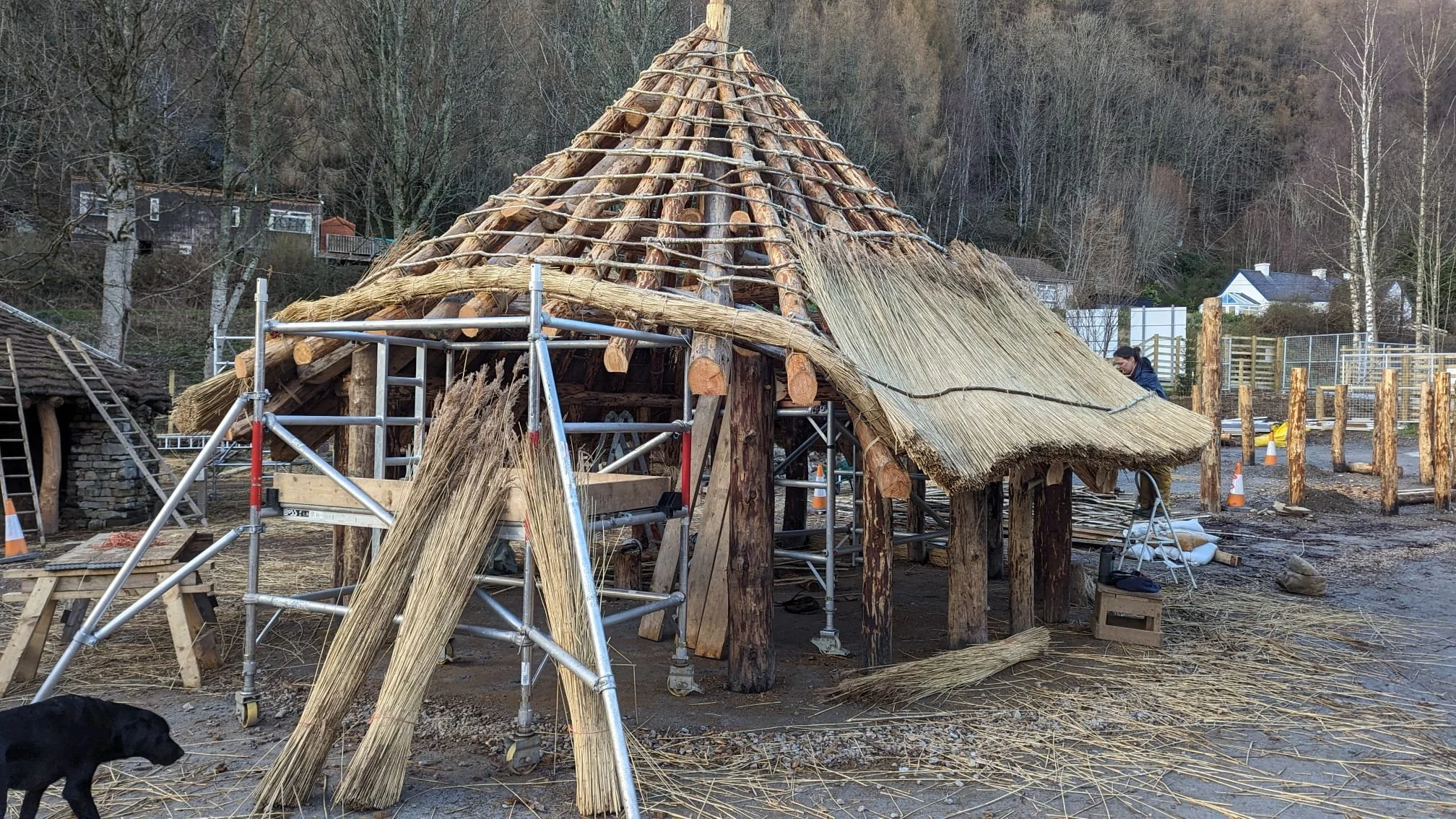 A thatched roof hut under construction with scaffolding, surrounded by construction materials and tools, with trees and houses in the background.