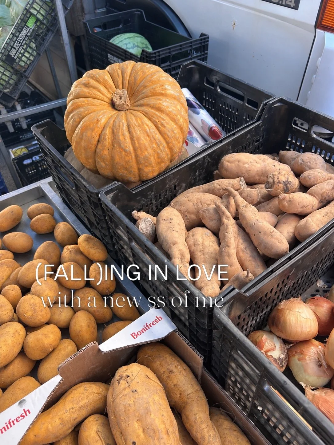 Goodmorning babes 🎃🌞🤎🍂

Forest breakfast for the win 🥐☕️🍁

Lets go love, it will only get better 

Late night notes 📝