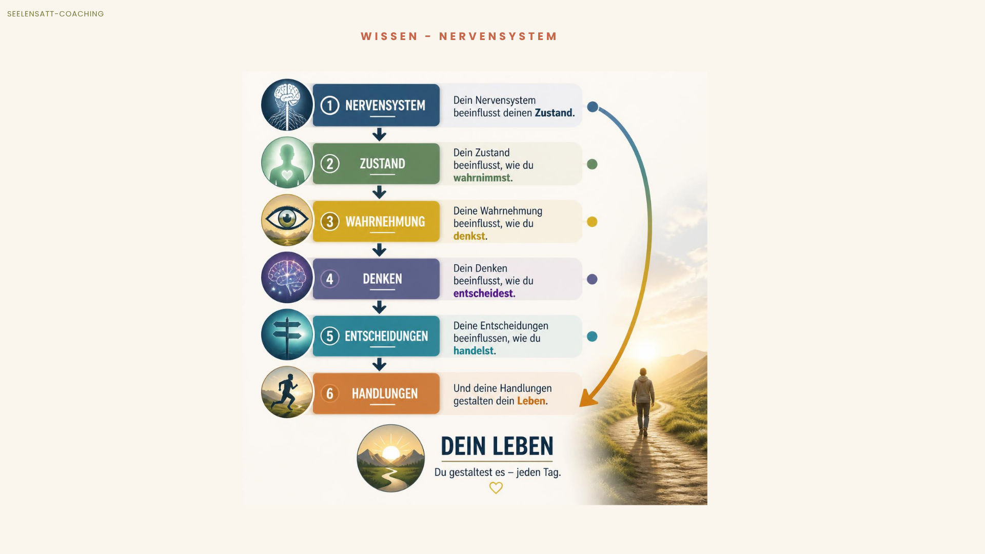 Nervensystem & emotionales Essen