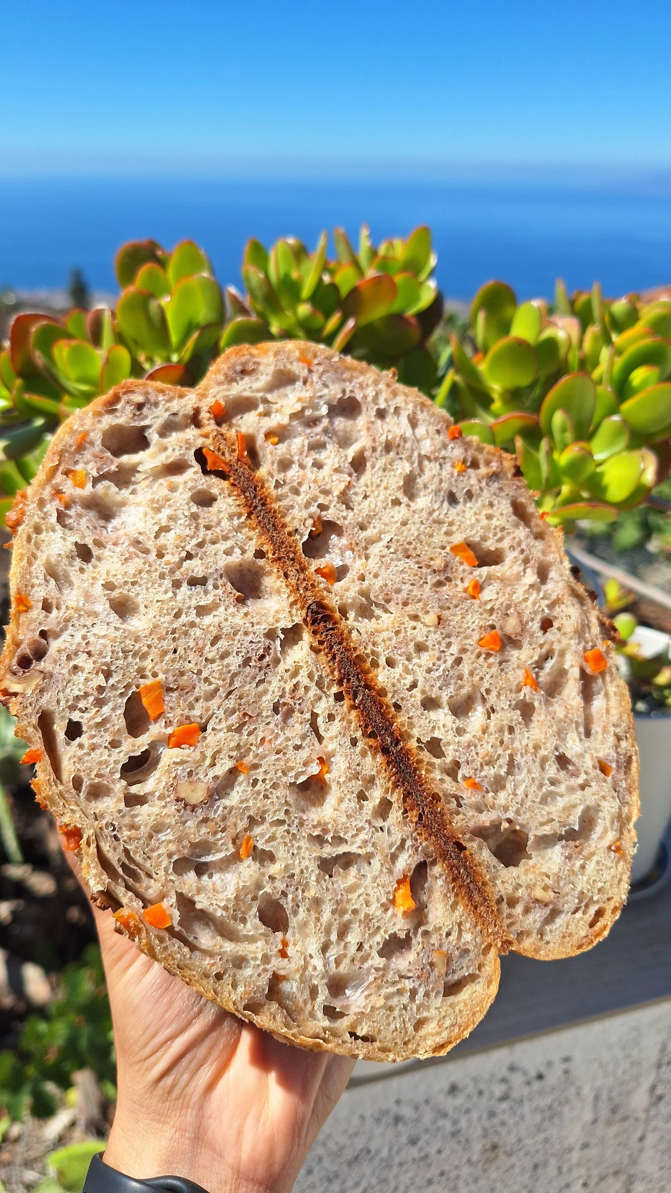 20250927_125056 (2).jpg