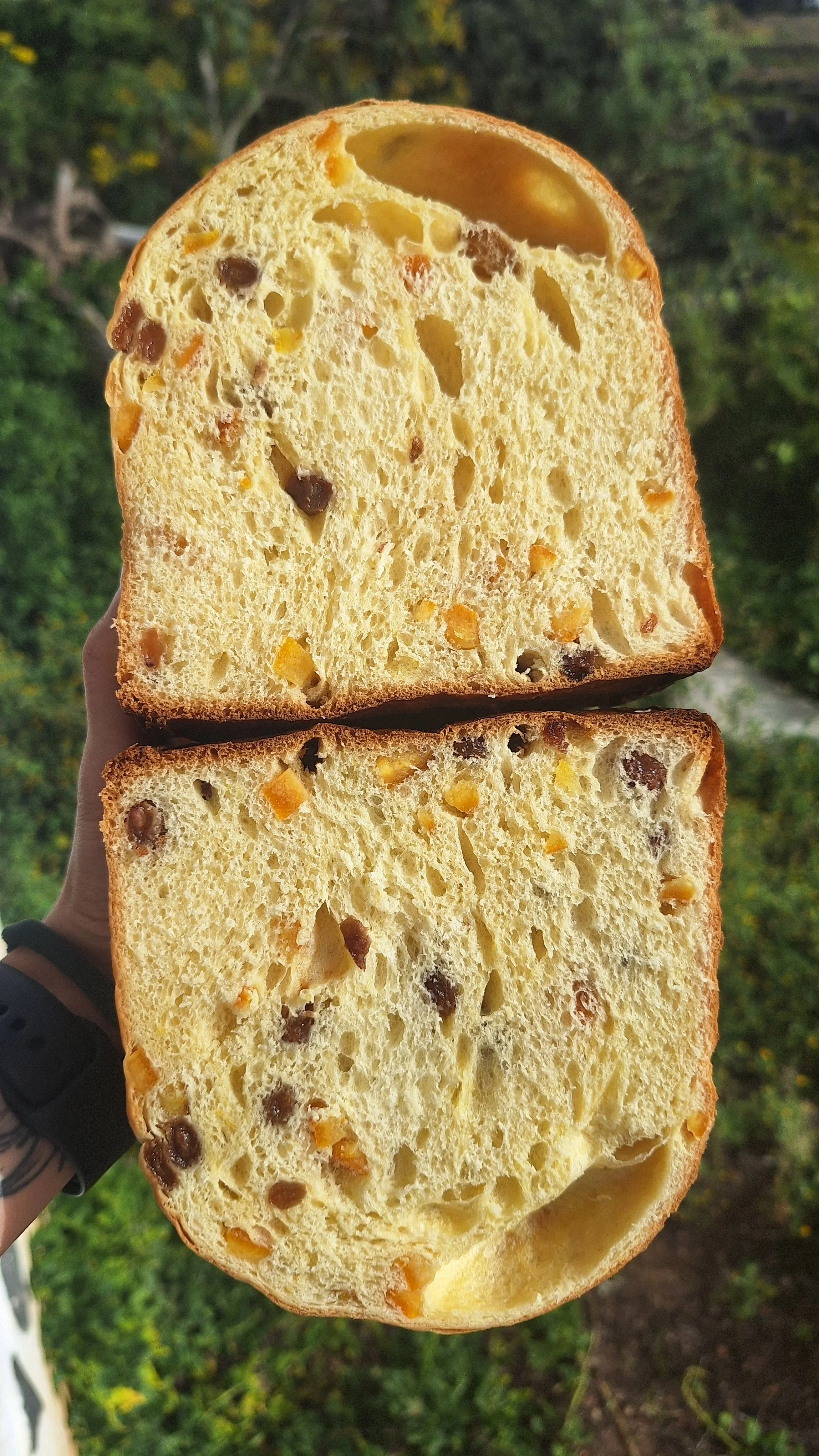 Panettone