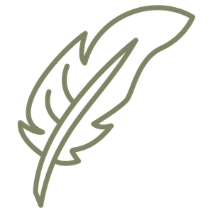 Stylised outline of a quill or feather pen in grey-green.