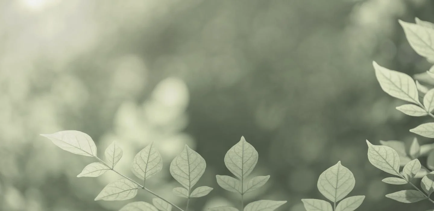 Close-up of green leaves with visible veins against a soft-focus background of greenery.