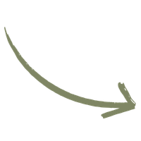 Green arrow pointing to the right with a curved tail.
