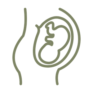 Outline of a pregnant woman with a fetus in the womb