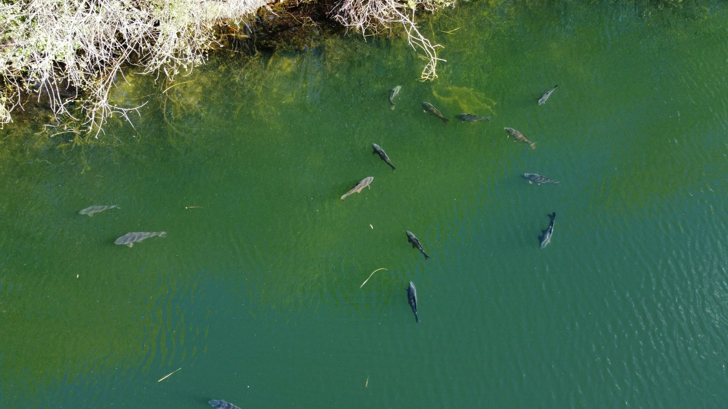 dji_fly_20260413_162416_569_1776094885507_photo_optimized.jpeg