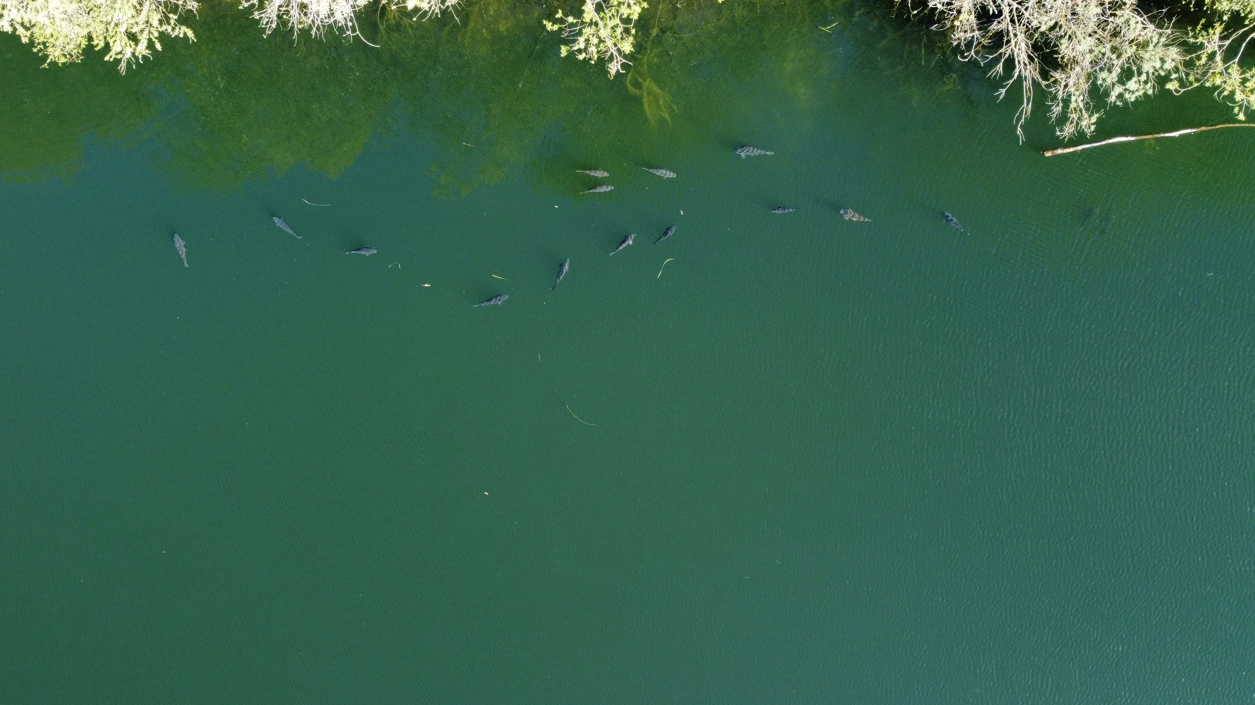 dji_fly_20260413_162246_567_1776095243005_photo_optimized.jpeg