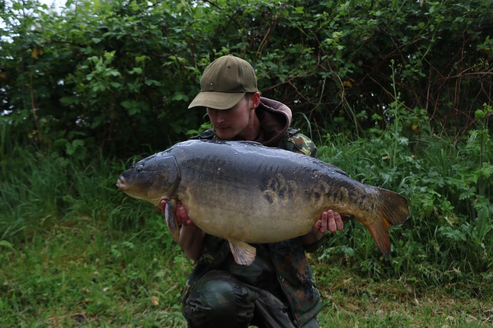 IMG_9176.jpeg