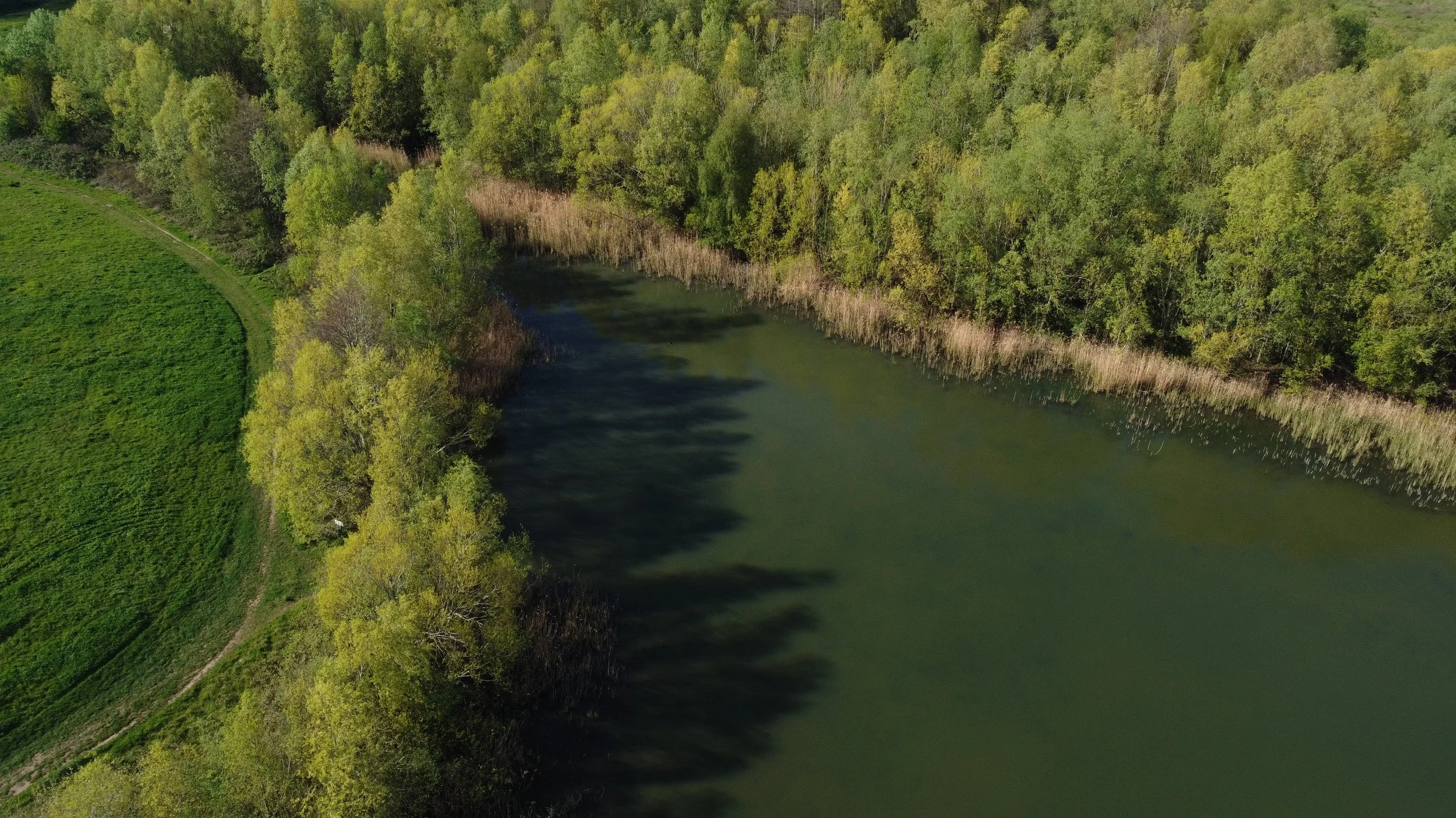 dji_fly_20260413_160934_541_1776095264645_aeb.jpeg