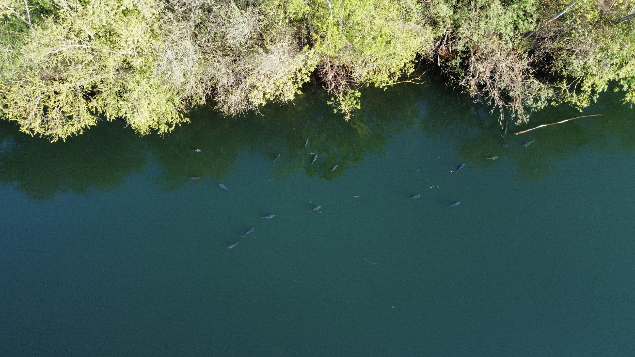 dji_fly_20260413_162140_563_1776095247198_photo_optimized.jpeg