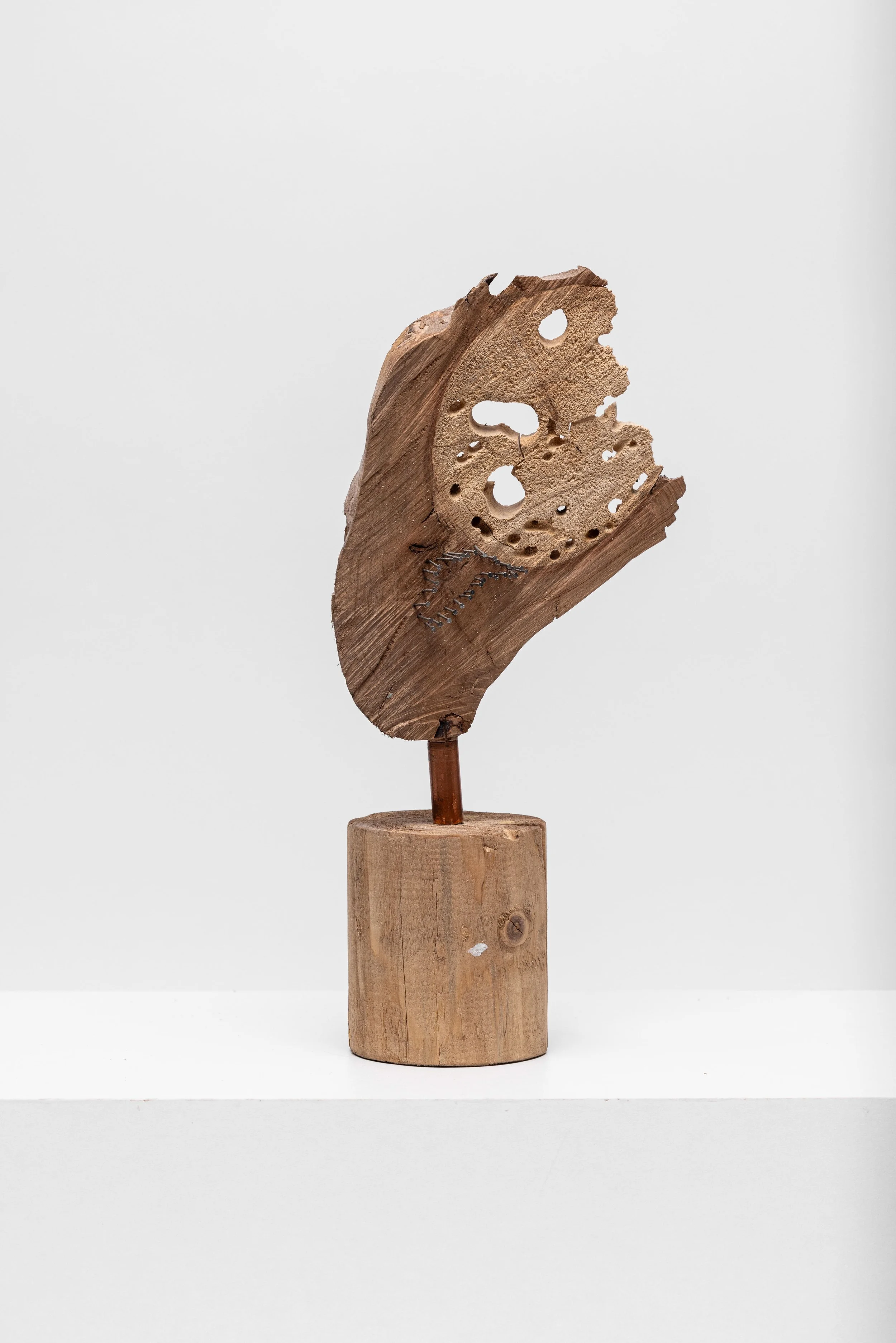 Ohne Titel, 2024, 38,5 x 19 x 10 cm, Holz natur, Kupfer, Stahlnägel