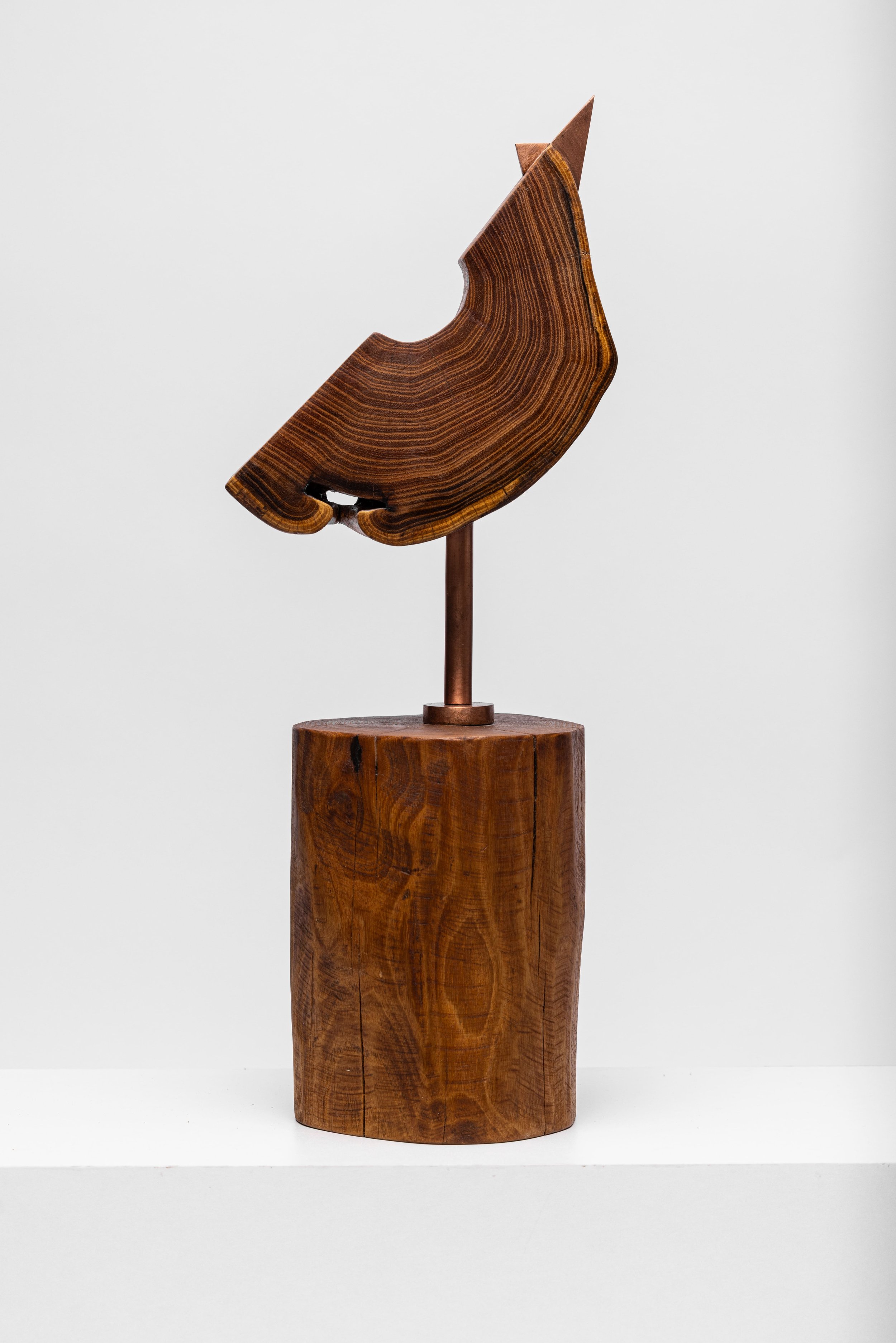 Hahn 2, 2020, 56,2 x 22 x 15,5 cm, Holz geölt, Kupfer