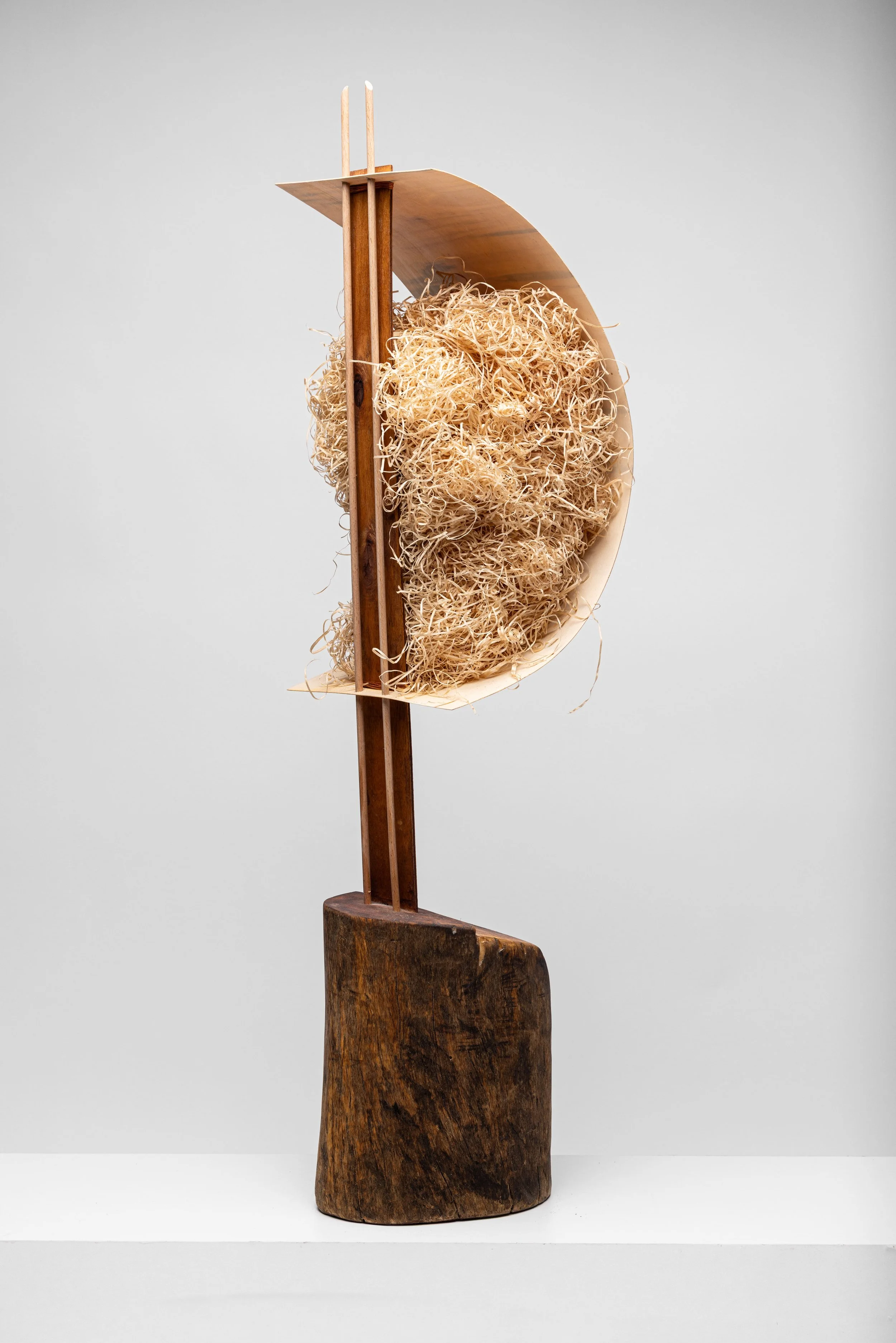 Gesegneter Zustand, 2024, 104 x 24,3 x 24 cm, Holz geölt, Holzspähne