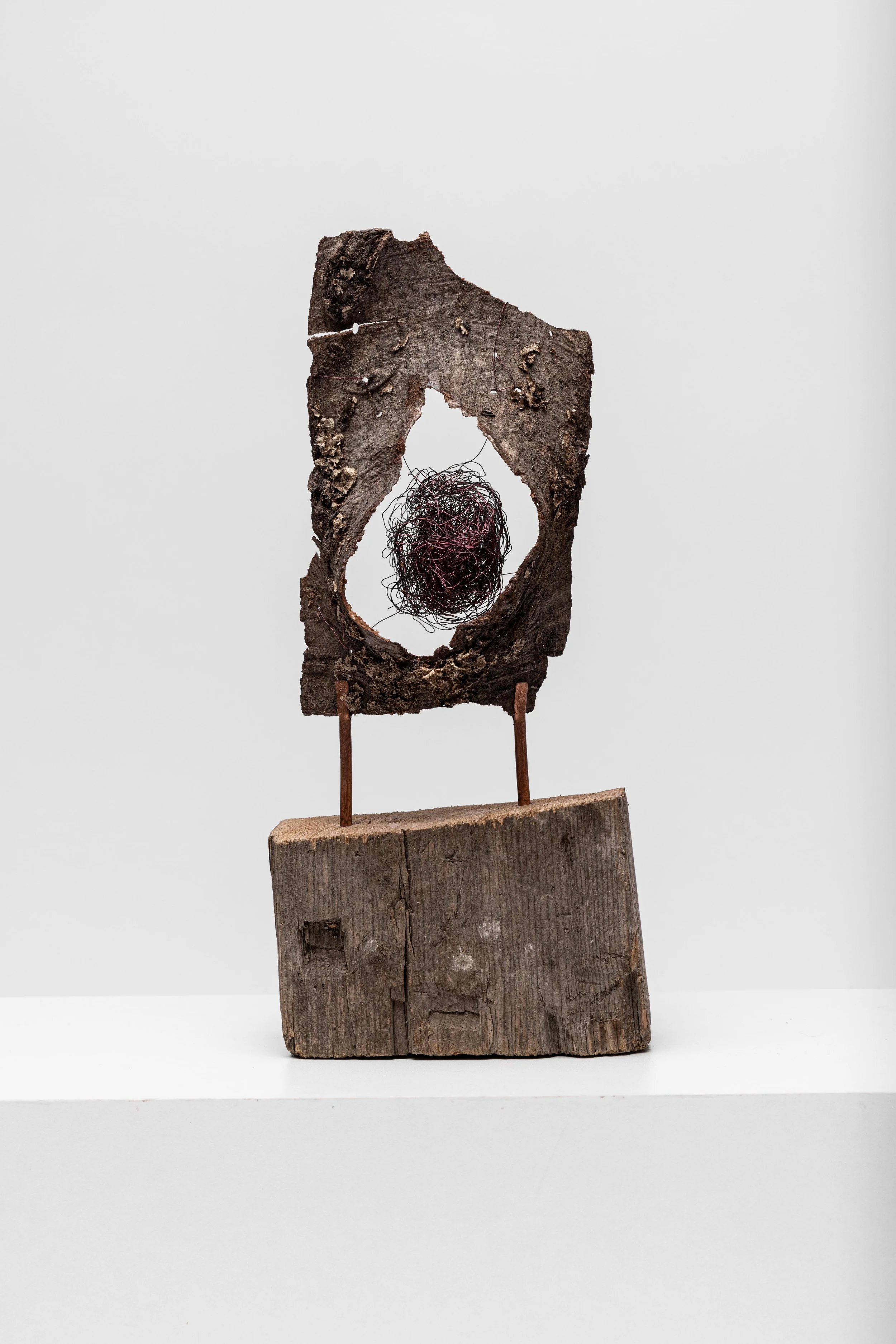 Nest 2, 2022, 40,5 x 17,5 x 8 cm, Holz natur, Kupferdraht