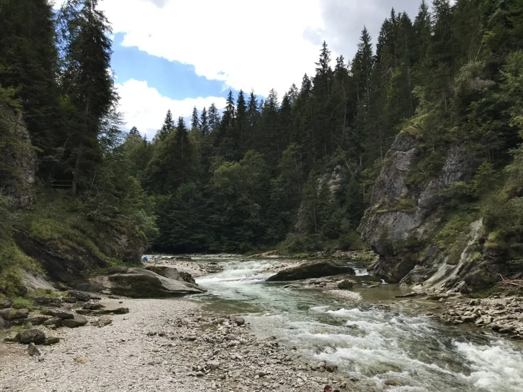 Gewässer-/ Ökologische Fachberatung. Fluss. See. München. Bayern.
