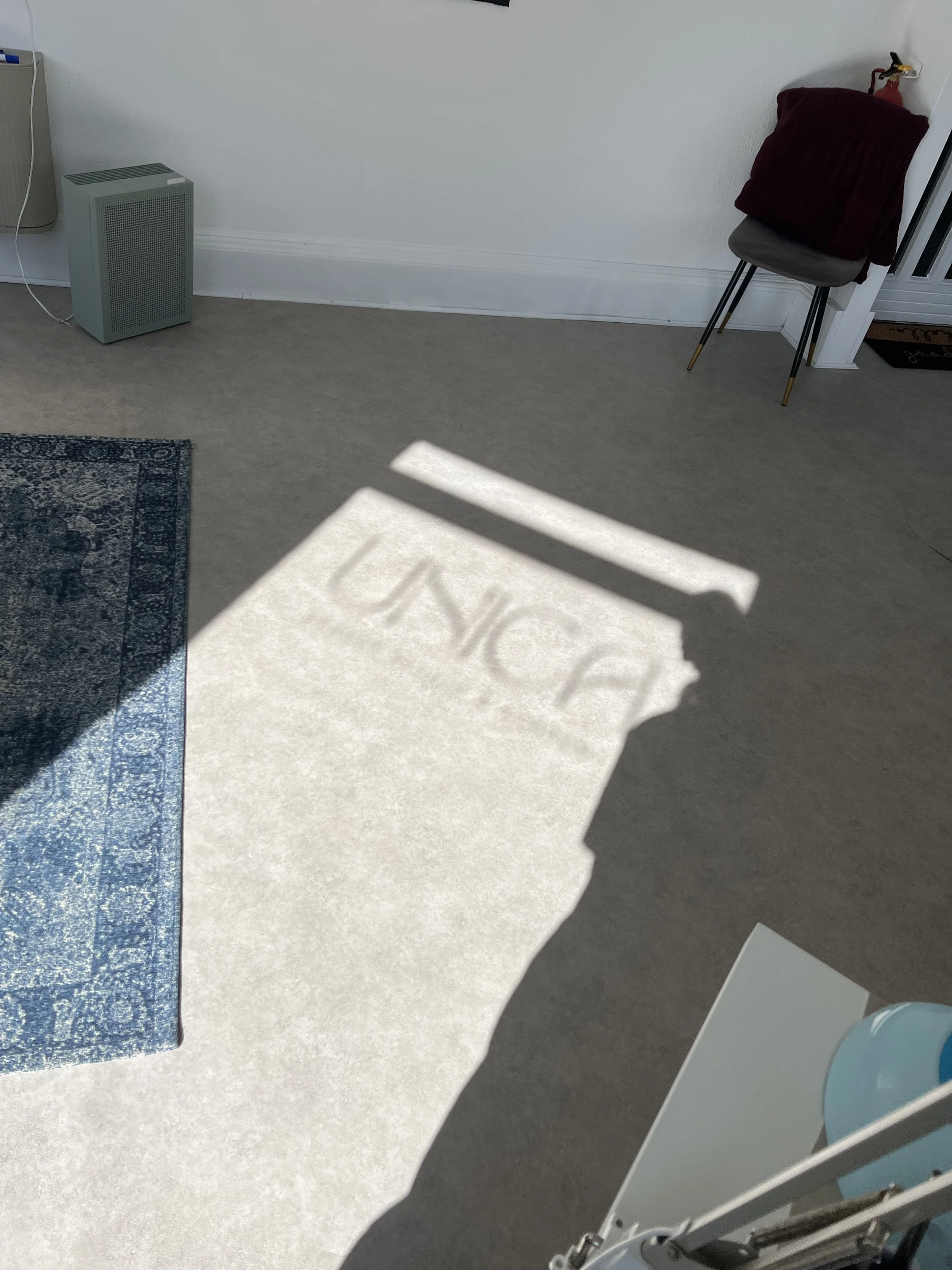 Sunlight creates a shadow on the beige carpeted floor spelling the word 'DUNCE' in reverse.