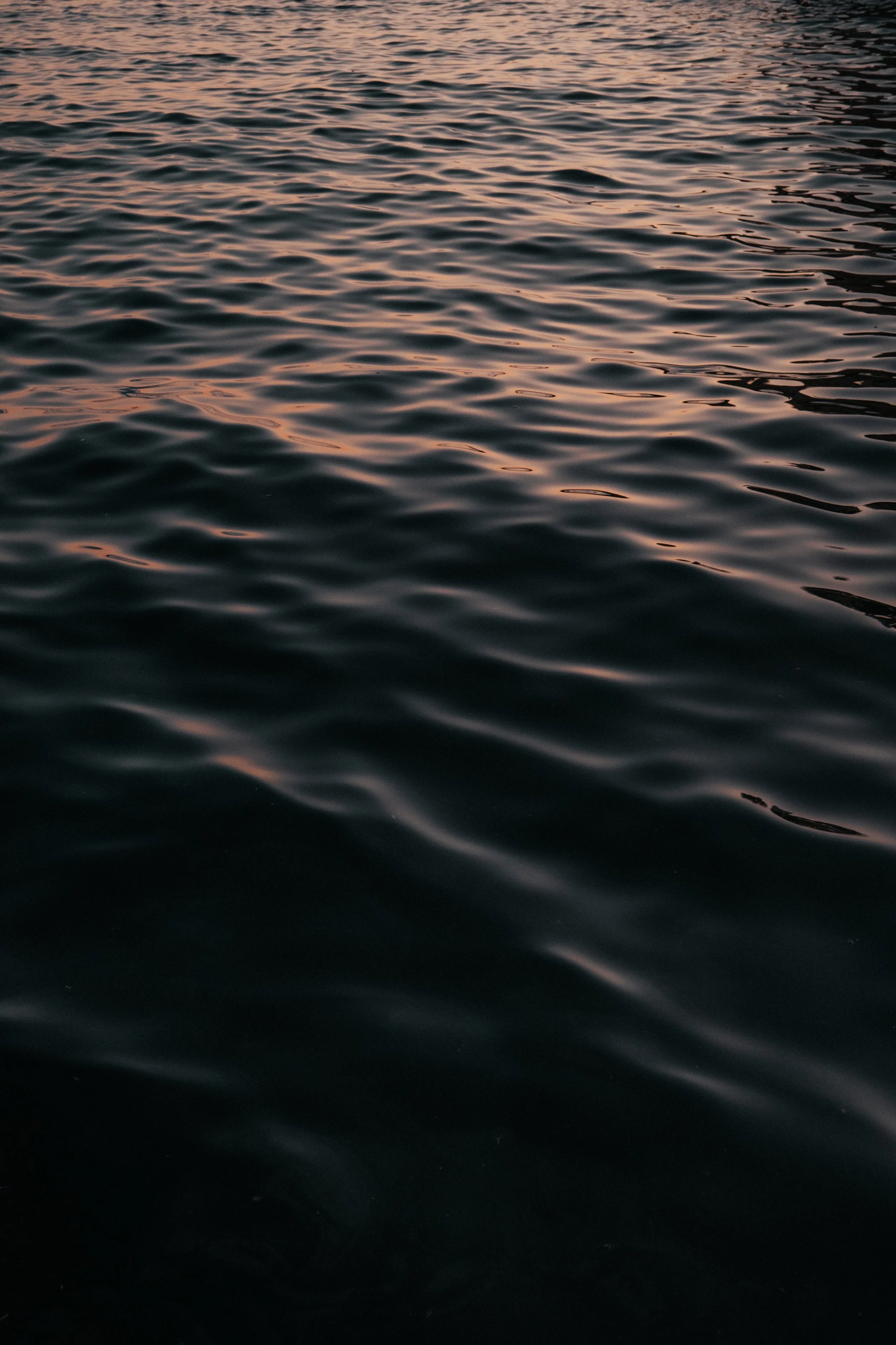 JSE_20260404_0105-Edit.jpg
