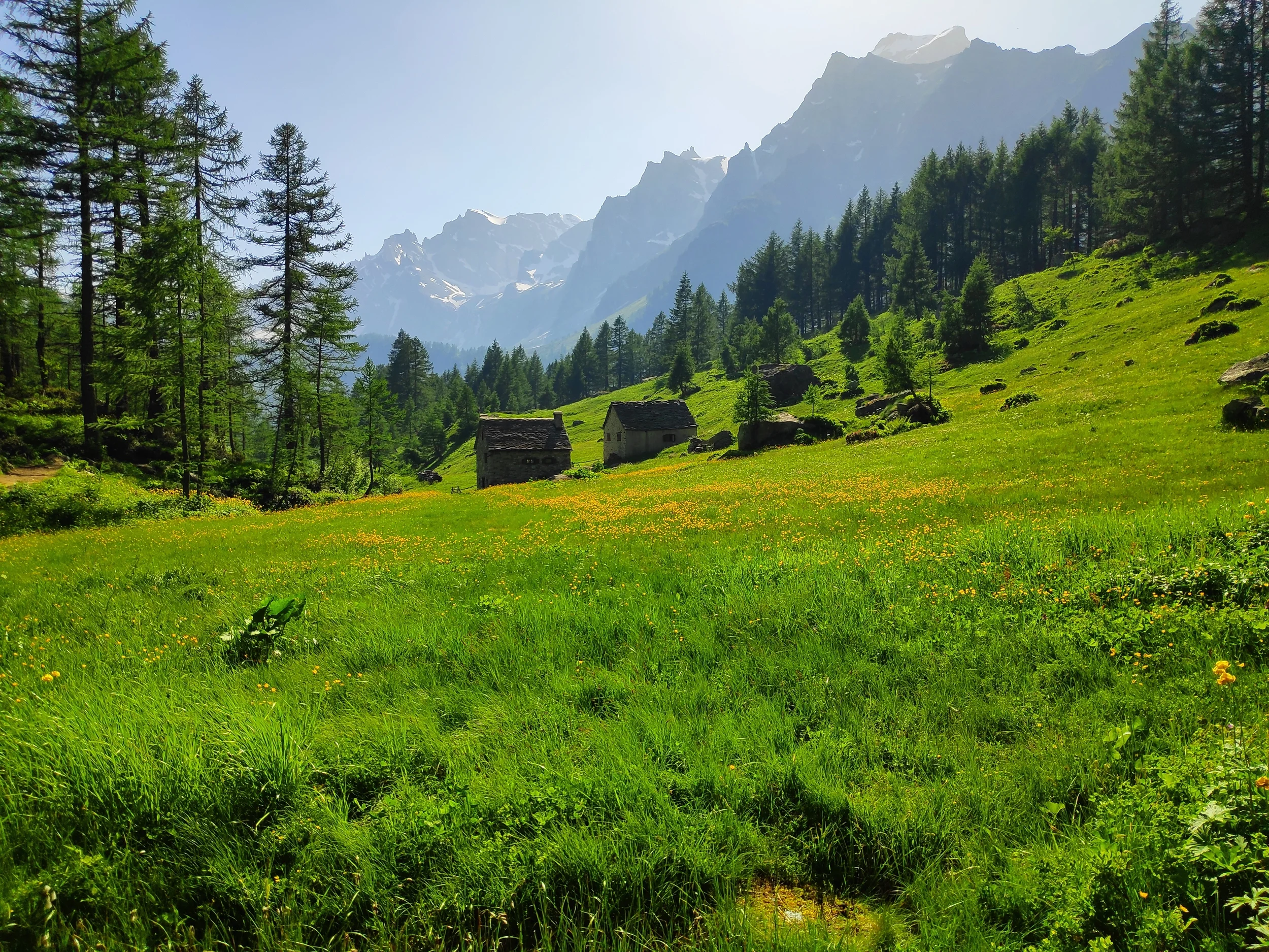 Stone Alpine huts and flower-filled meadows along the nature trail towards Crampiolo at Alpe Devero.