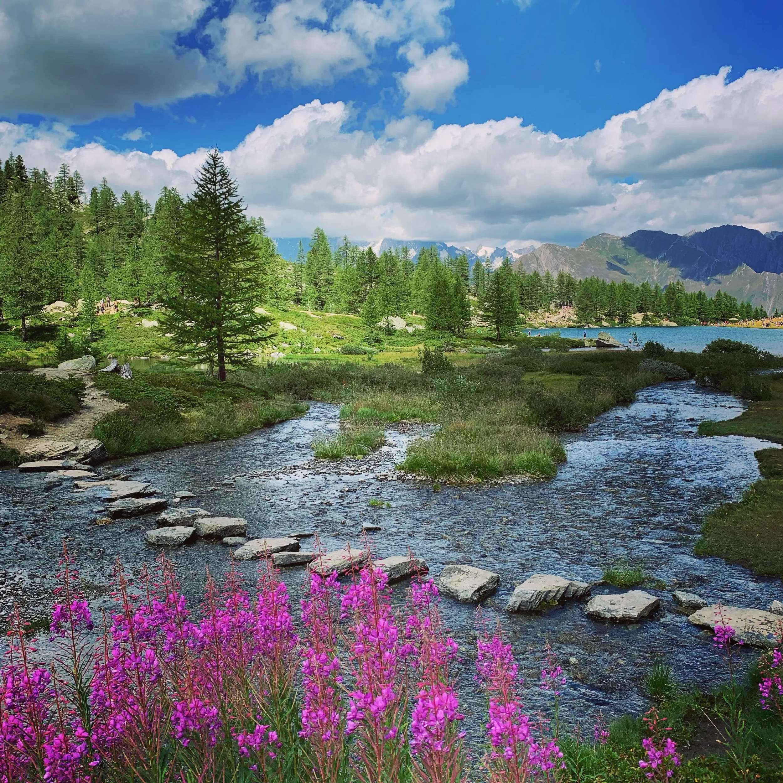 Green Alpine landscape in Valle d’Aosta during spring, Italy