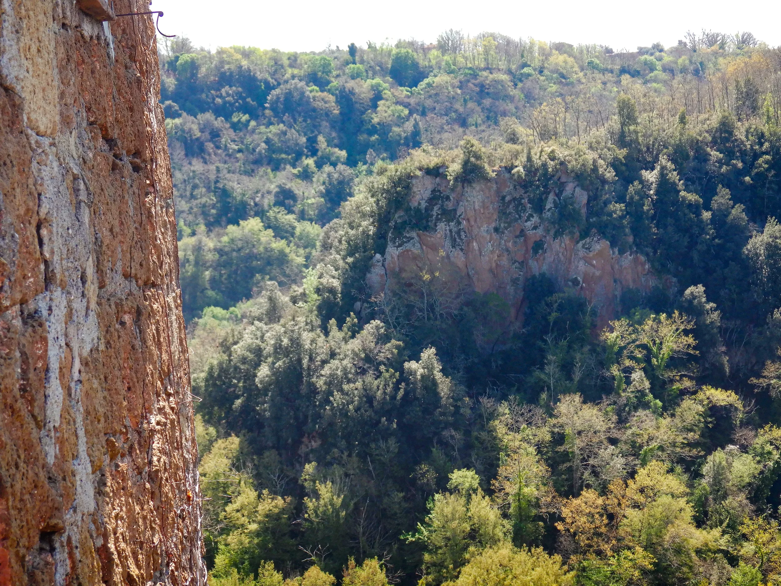 Tuff cliffs and dense woodland in the Treja Valley, viewed beside the stone walls of Calcata.