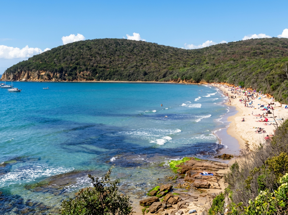 The sandy cove and clear water at Cala Violina, Tuscany.