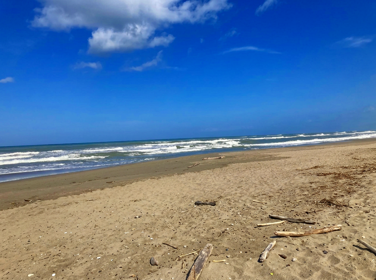 Wild sandy beach and rolling waves at Spiaggia della Lecciona near Viareggio, Tuscany.
