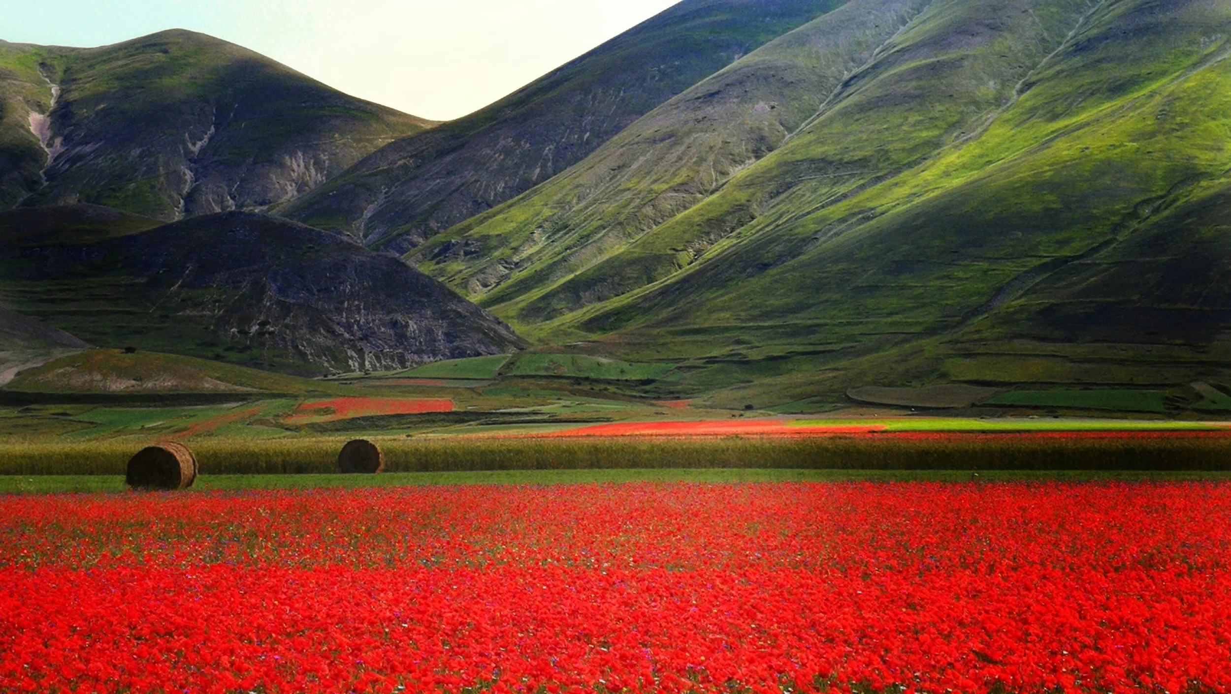 Red poppy fields and round hay bales beneath the green mountain slopes near Castelluccio di Norcia