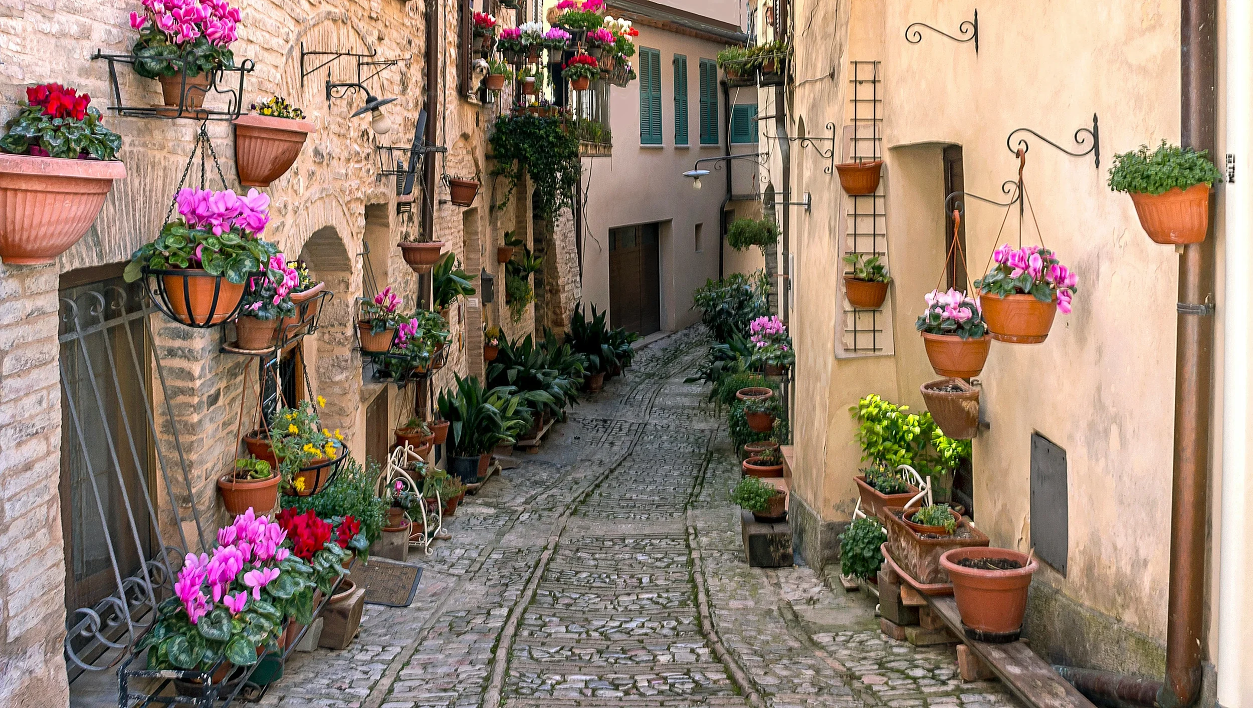 Narrow cobbled lane in an Umbrian village in Spello, lined with colourful flowers, terracotta pots and stone houses.