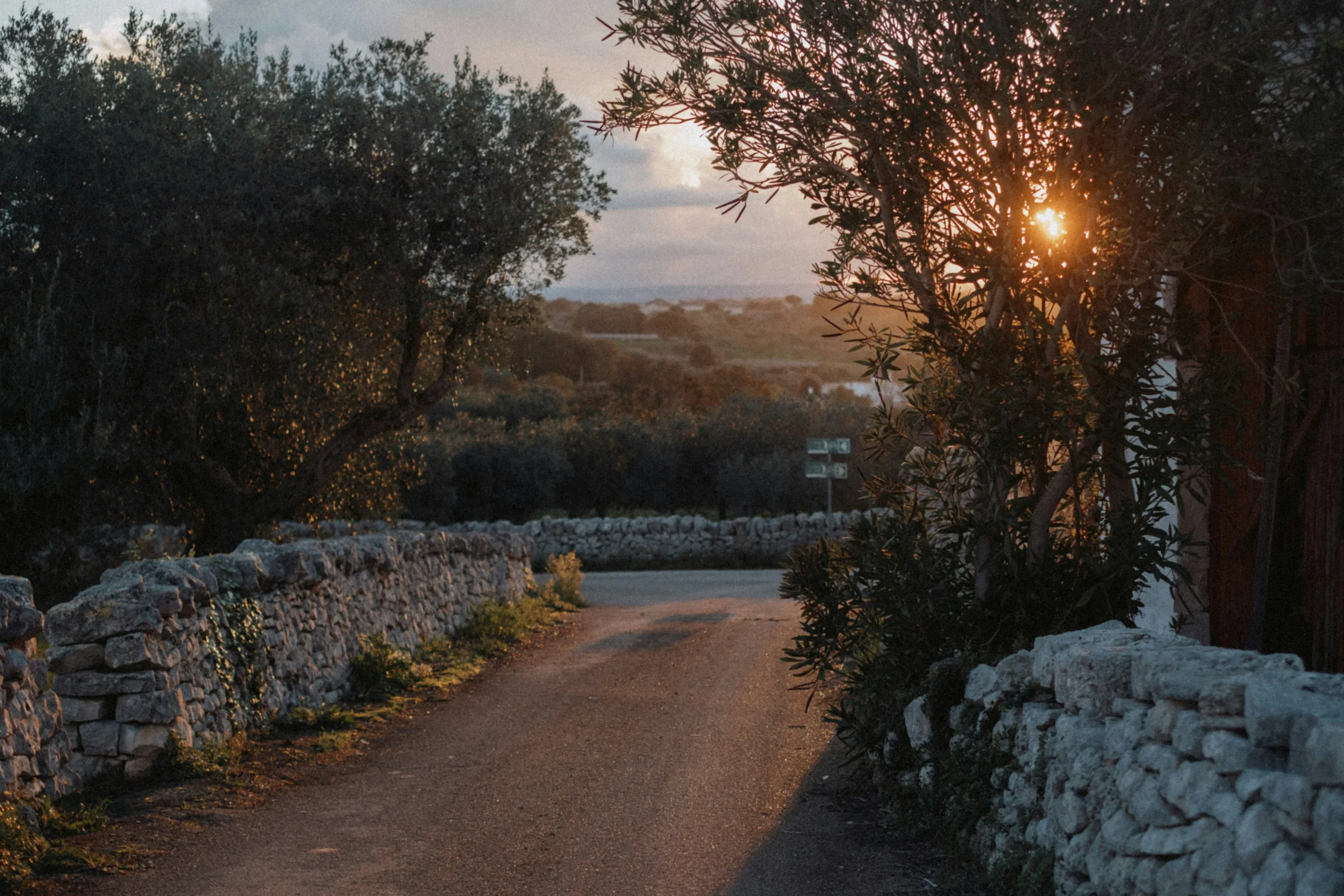 Scenic country road through olive groves and dry stone walls in Puglia, Italy