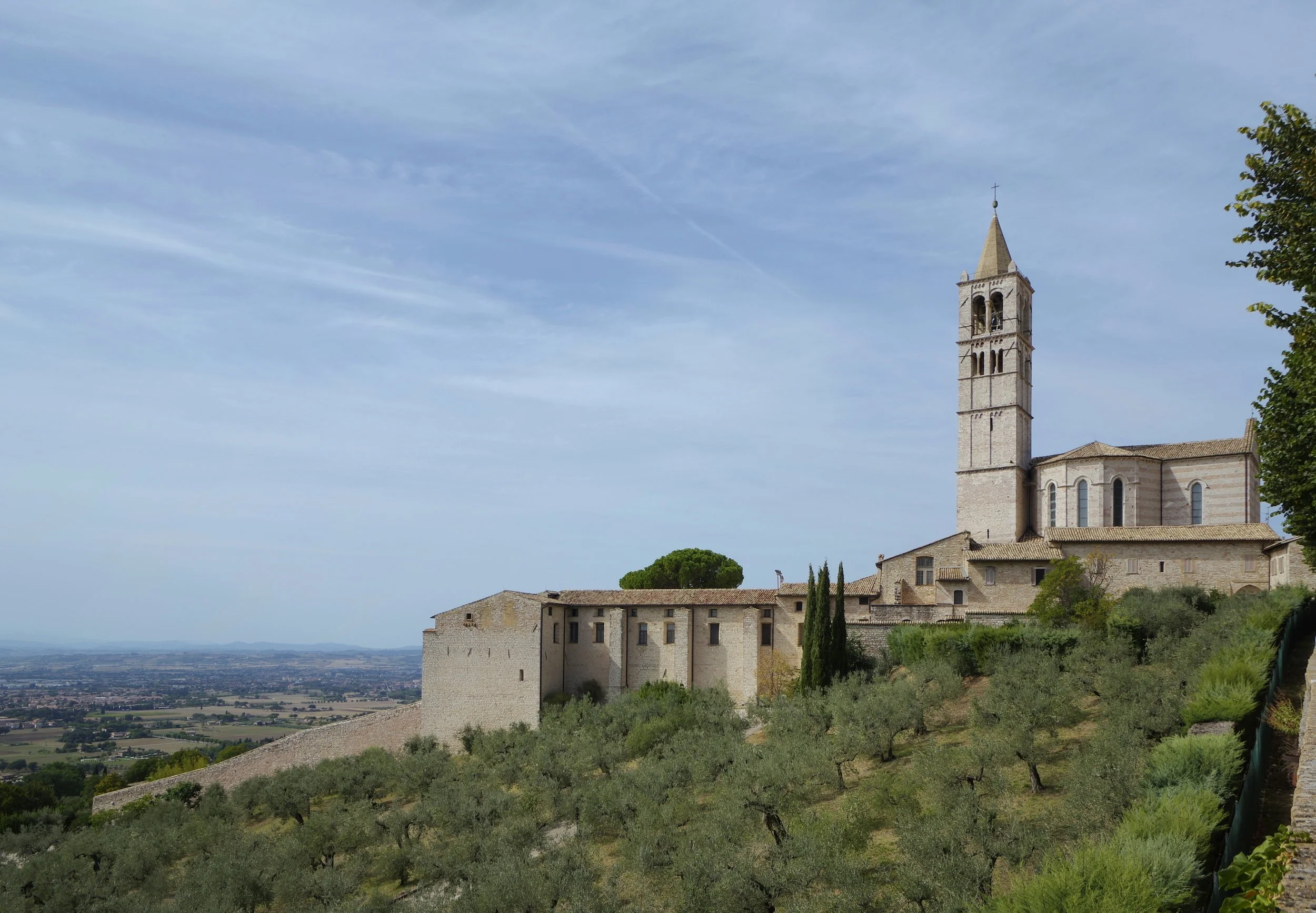 Basilica of Santa Chiara and its slender bell tower above olive groves, viewed from the southeast in Assisi