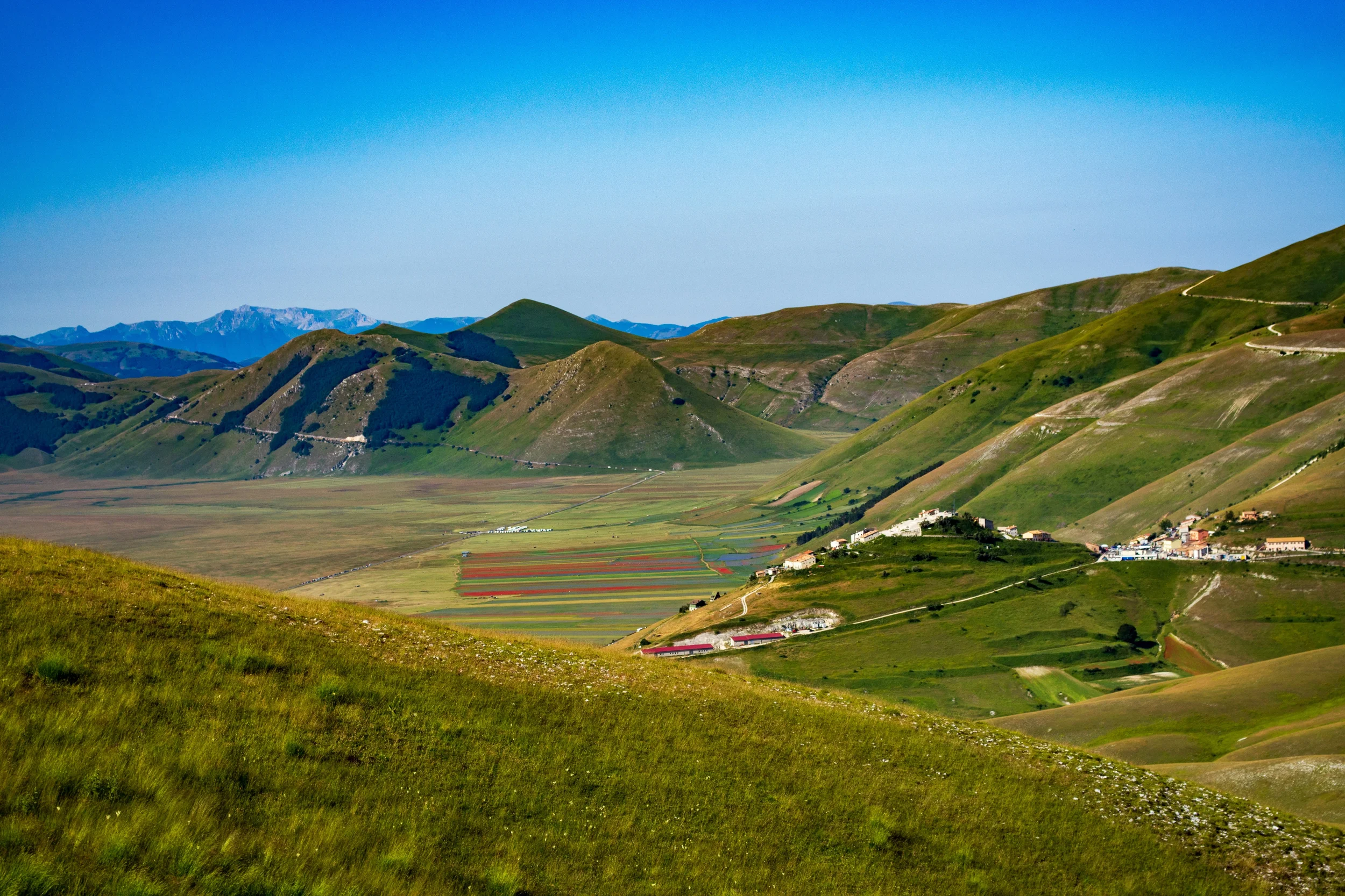 View across the cultivated strips of the Pian Grande and the hillside settlement of Castelluccio di Norcia