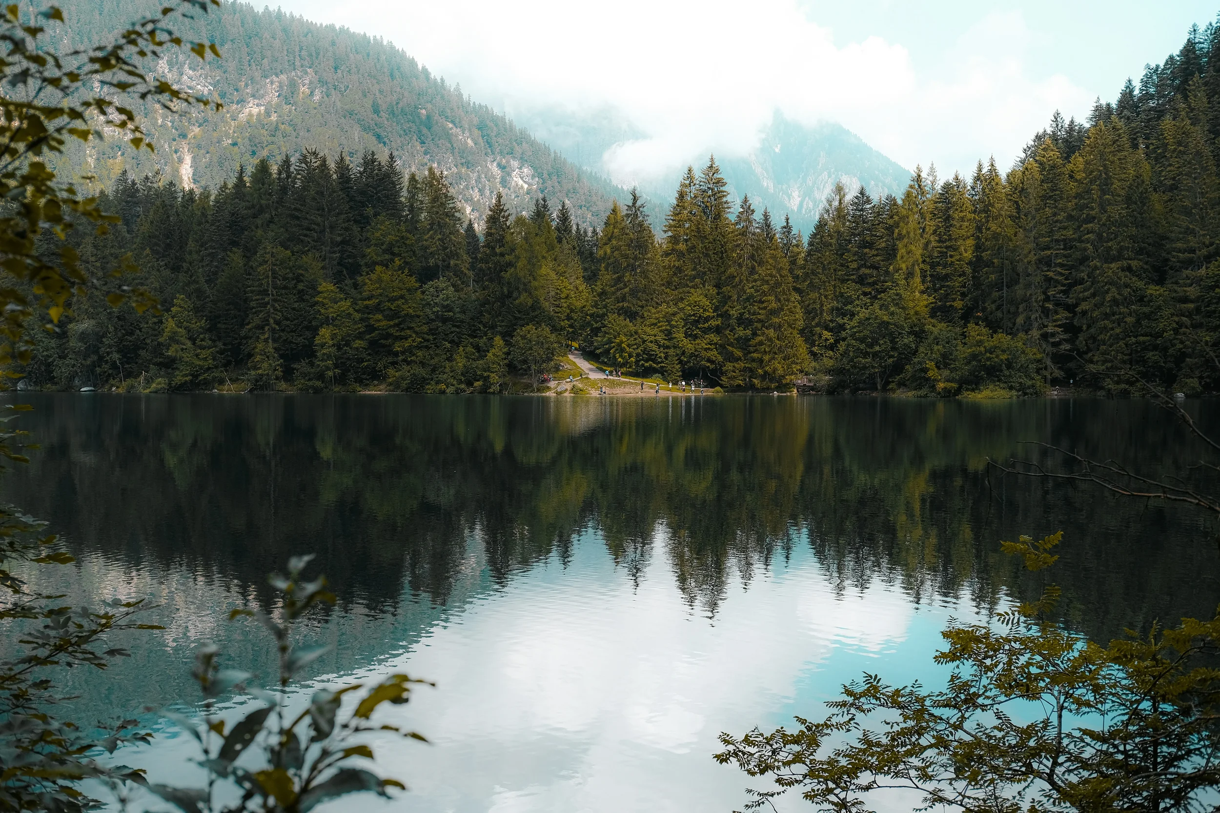 Turquoise Lago di Tovel surrounded by the Brenta Dolomites in Trentino-Alto Adige, Italy