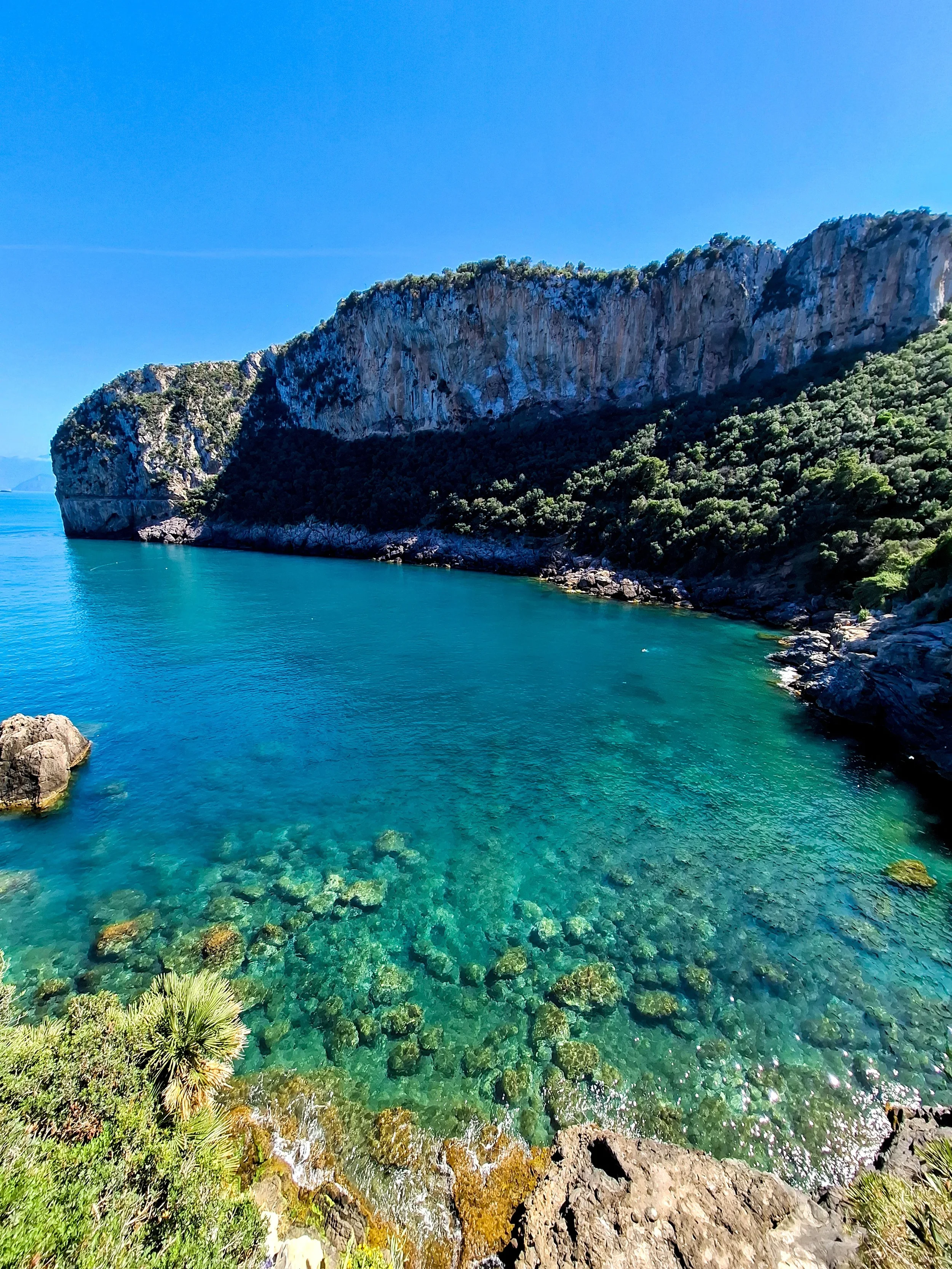Clear turquoise water and submerged rocks beneath a steep, shrub-covered coastal cliff.