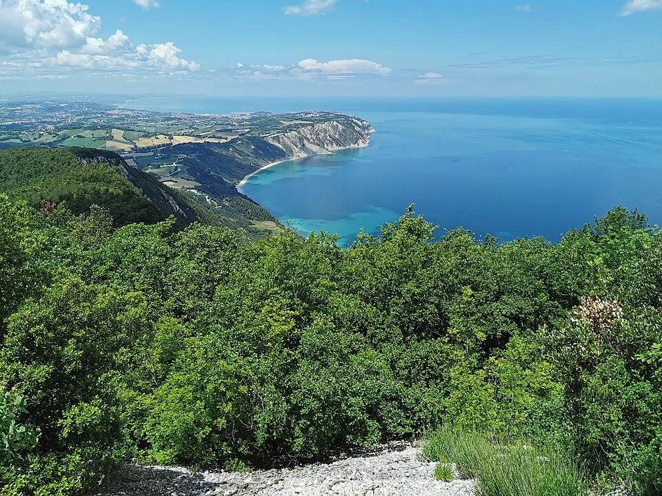 A high viewpoint above Portonovo, looking across woodland, white coastal cliffs and the blue Adriatic