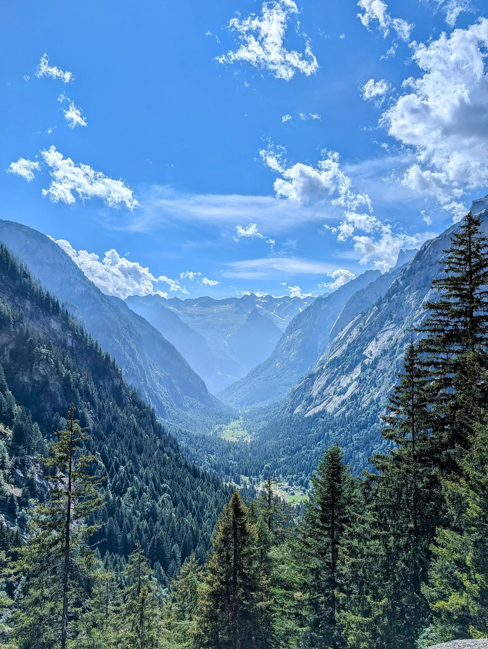 The wooded valley and granite walls of Val di Mello seen from a high viewpoint.