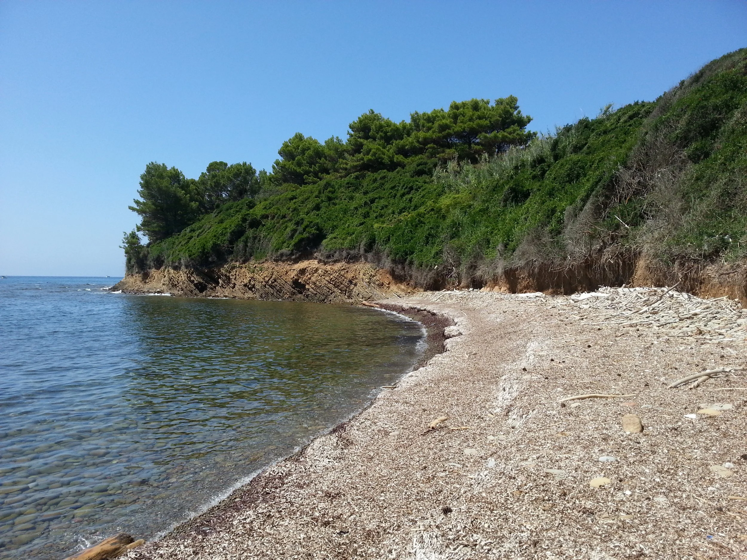 Pebble cove and pine-covered headland along the Cilento coast towards Punta Licosa.