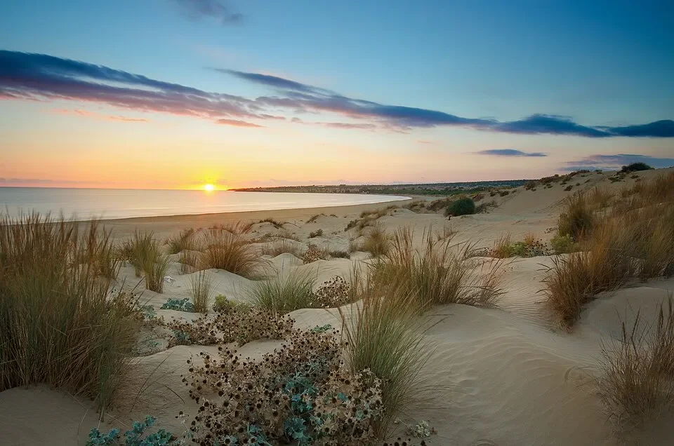 Sunset over Sampieri Bay, with grasses and low vegetation growing among the foreground sand dunes