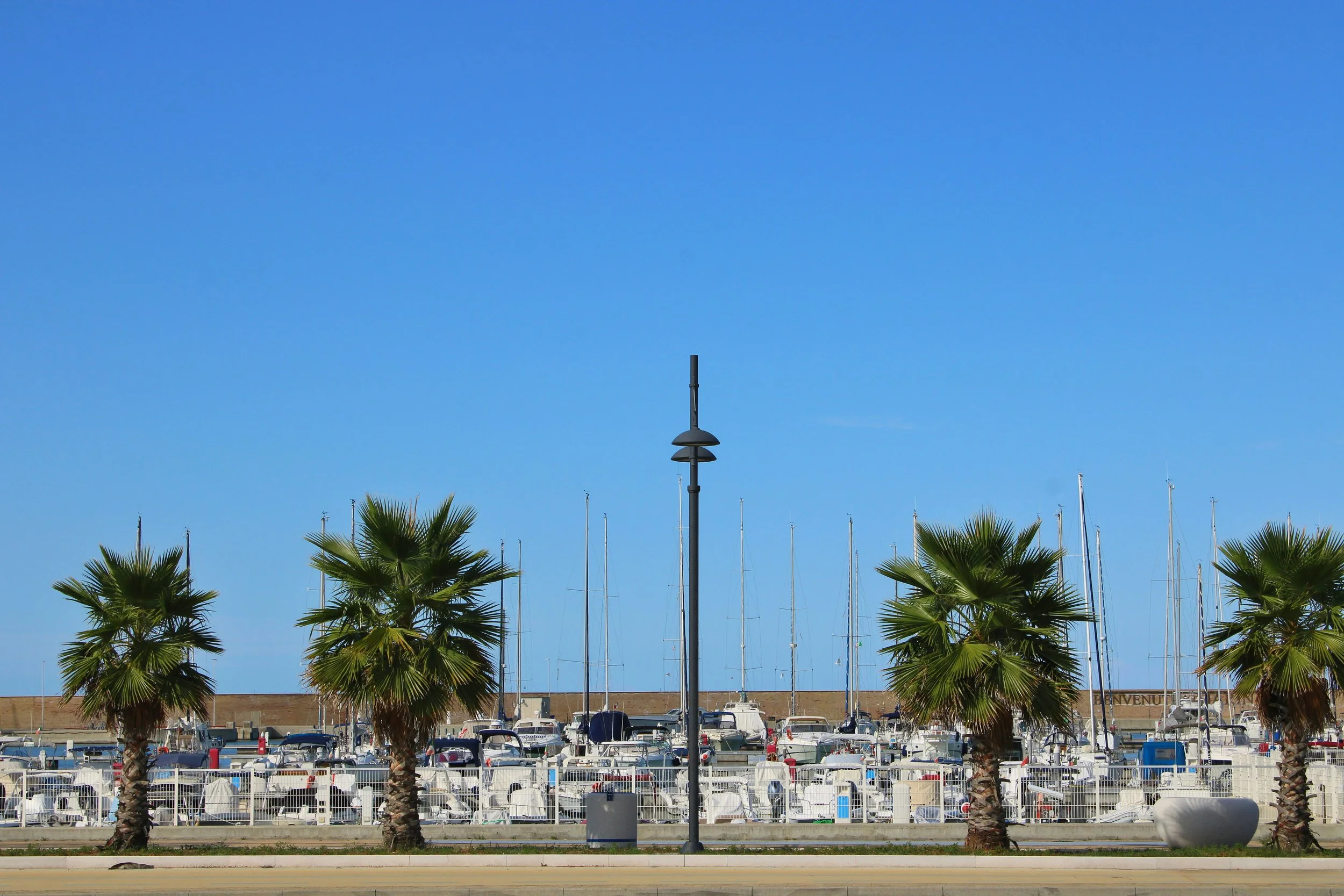 Palm-lined promenade overlooking moored sailing boats in a marina on the Molise coast