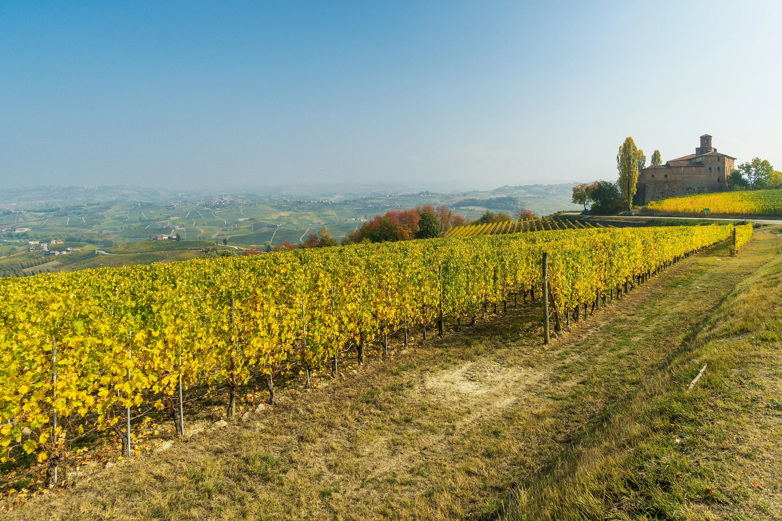 Autumn vineyard rows and a hilltop castle in the Langhe countryside near Barolo