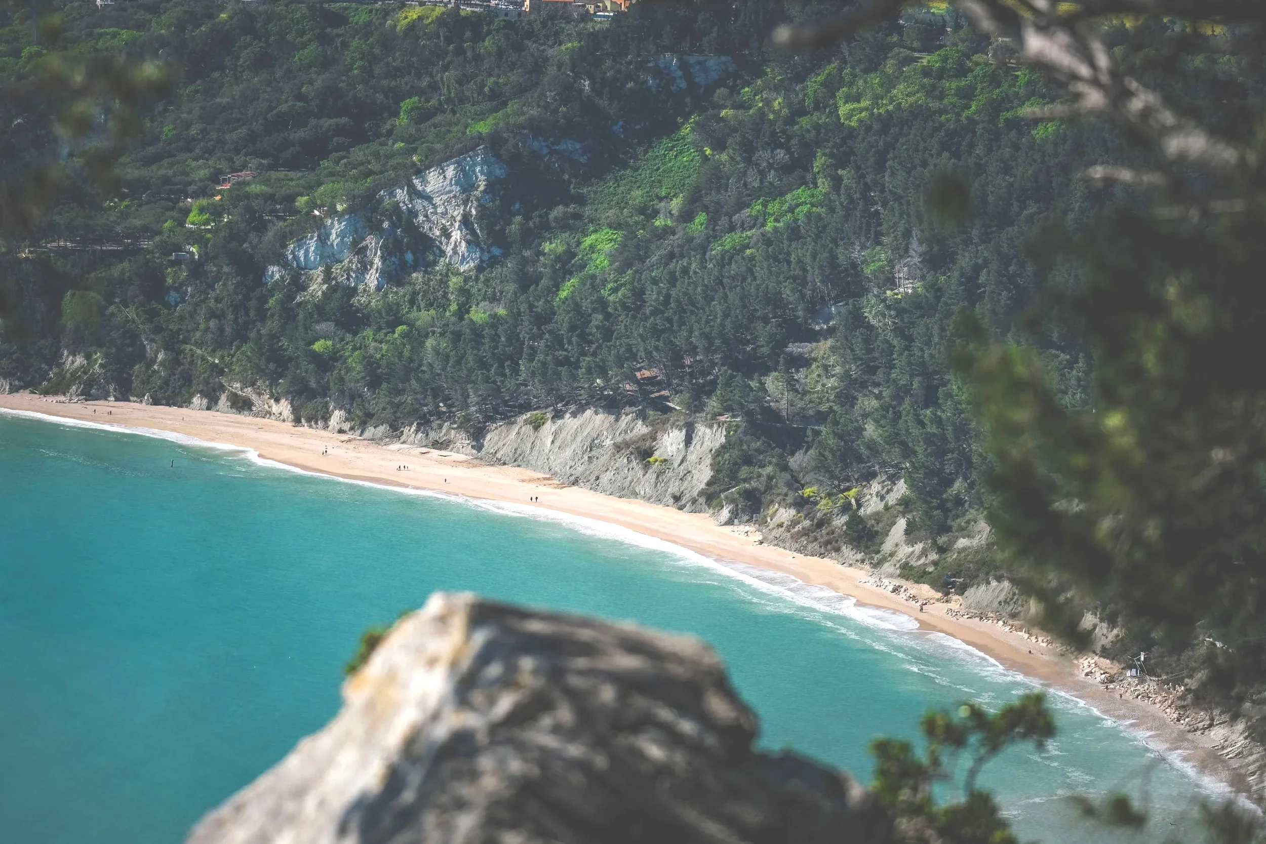 Secluded beach with turquoise water beneath the forested cliffs of the Conero Riviera in Le Marche, Italy.