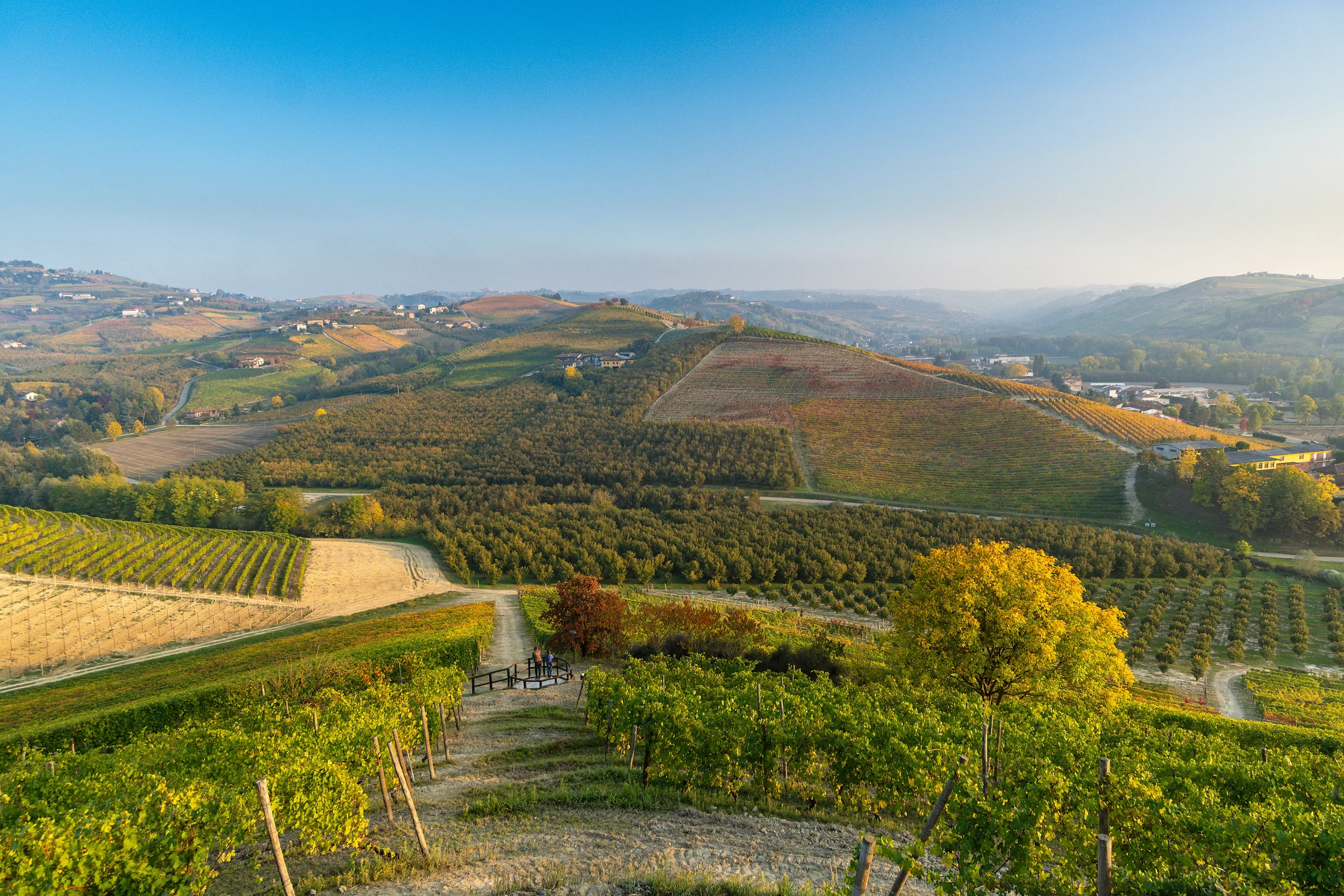 Rolling Langhe hills covered with vineyards in autumn colours, with scattered villages in Piemonte, Italy.
